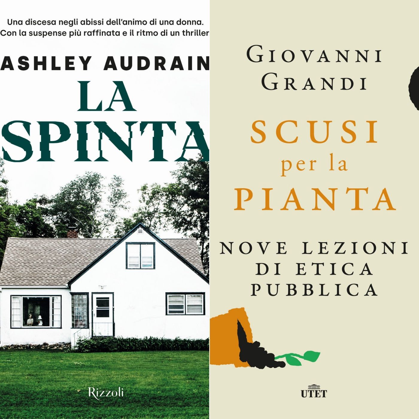 Archivio: Bookblister