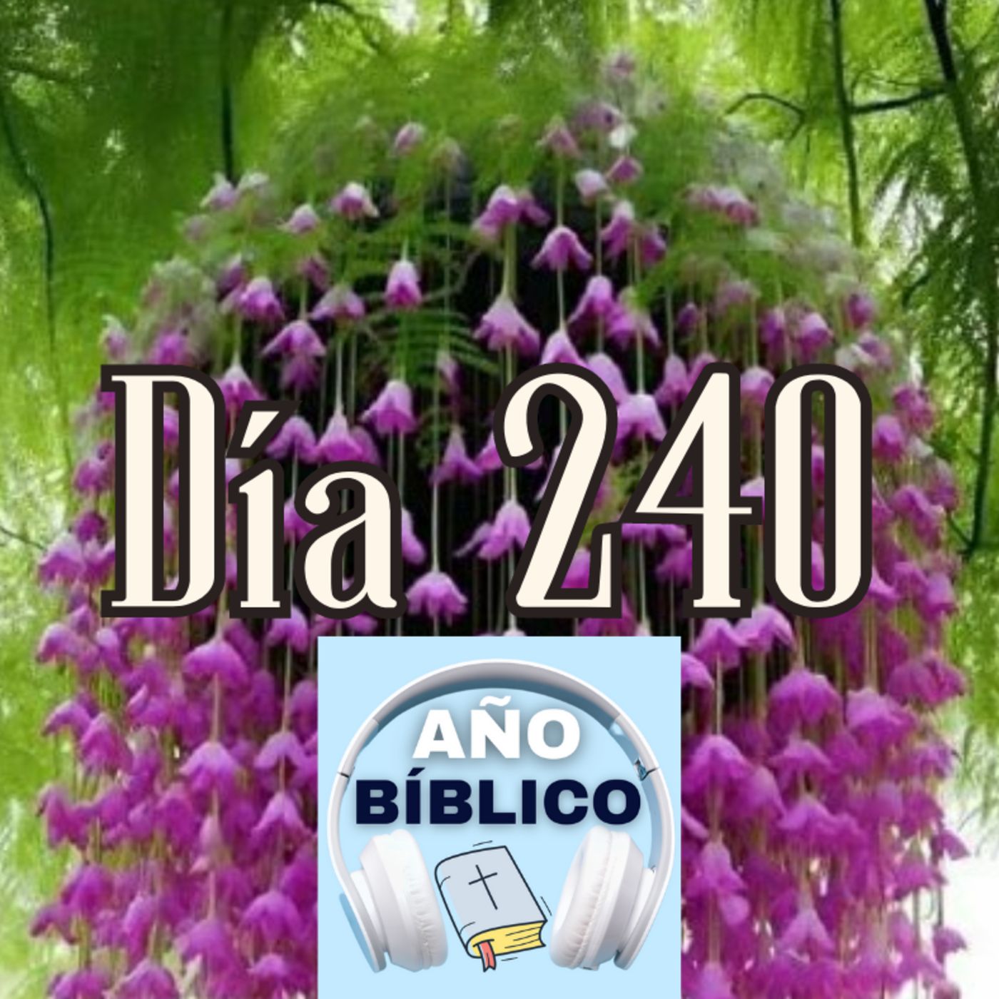 Día 240 - Salmo 99:6-9, Proverbios 29-31 y 2 Corintios 1:1-11 episode artwork
