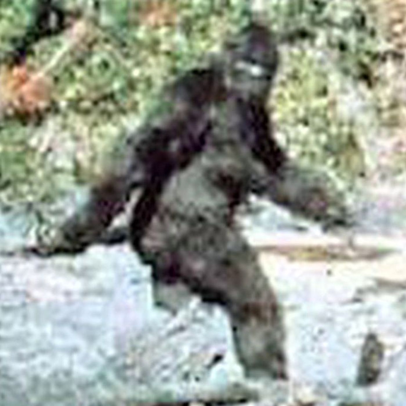 Bigfoot