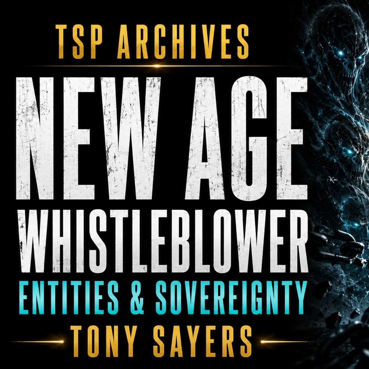 NEW AGE WHISTLEBLOWER: Entities & Claiming Our Sovereignty | Tony Sayers | TSP Archives episode artwork