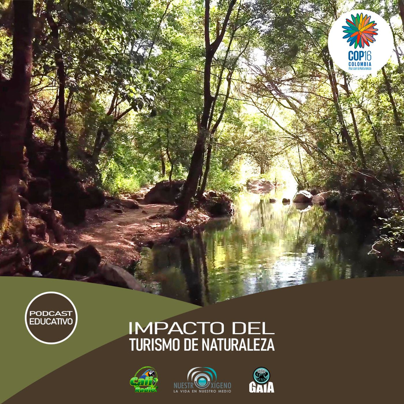 NUESTRO OXÍGENO Impacto del turismo de naturaleza episode artwork