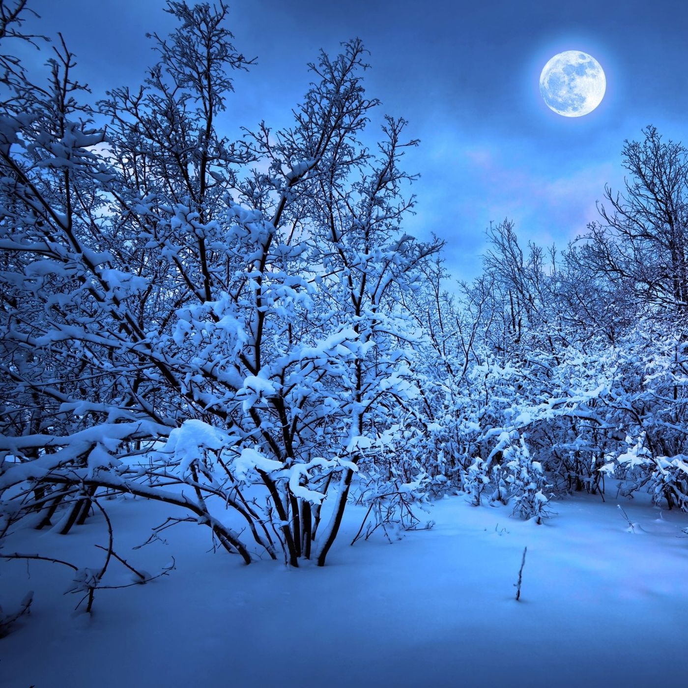 Khutbah: Long Winter Nights & Asr Prayer episode artwork