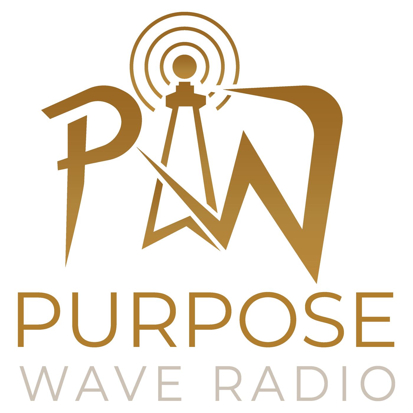 Purpose Wave Radio