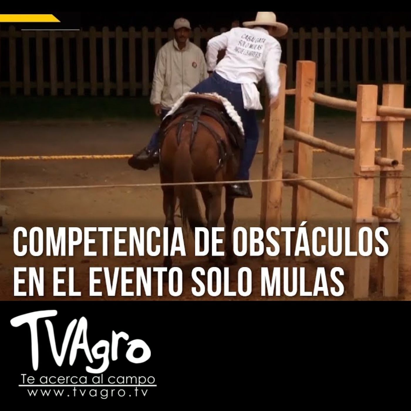 TV AGRO