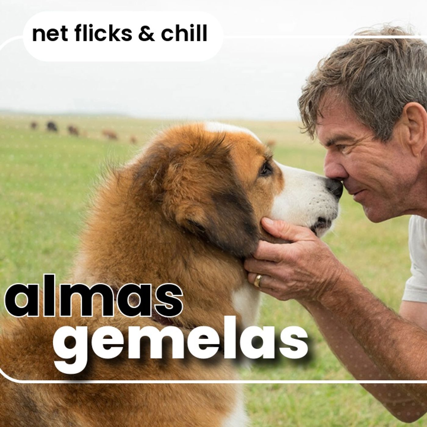 Almas Gemelas - Net Flicks and Chill 94