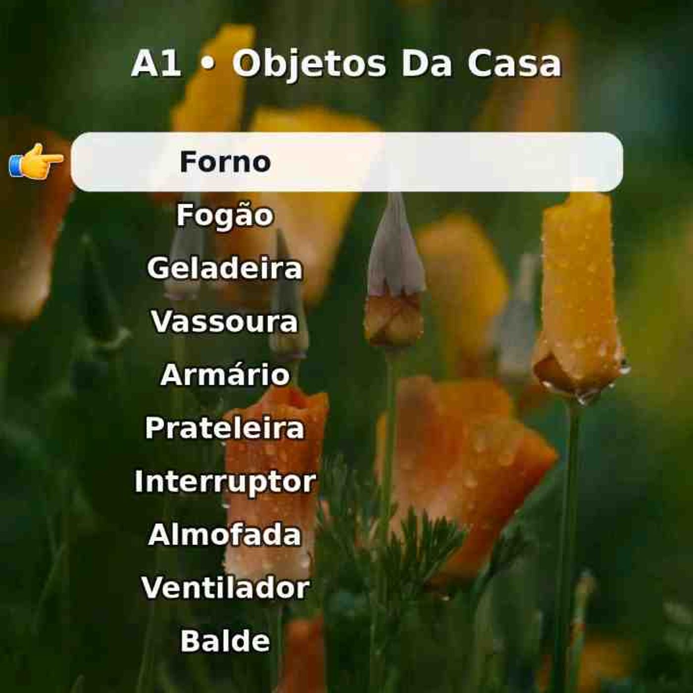 Repita em voz alta_ objetos da casa. Nível A1.