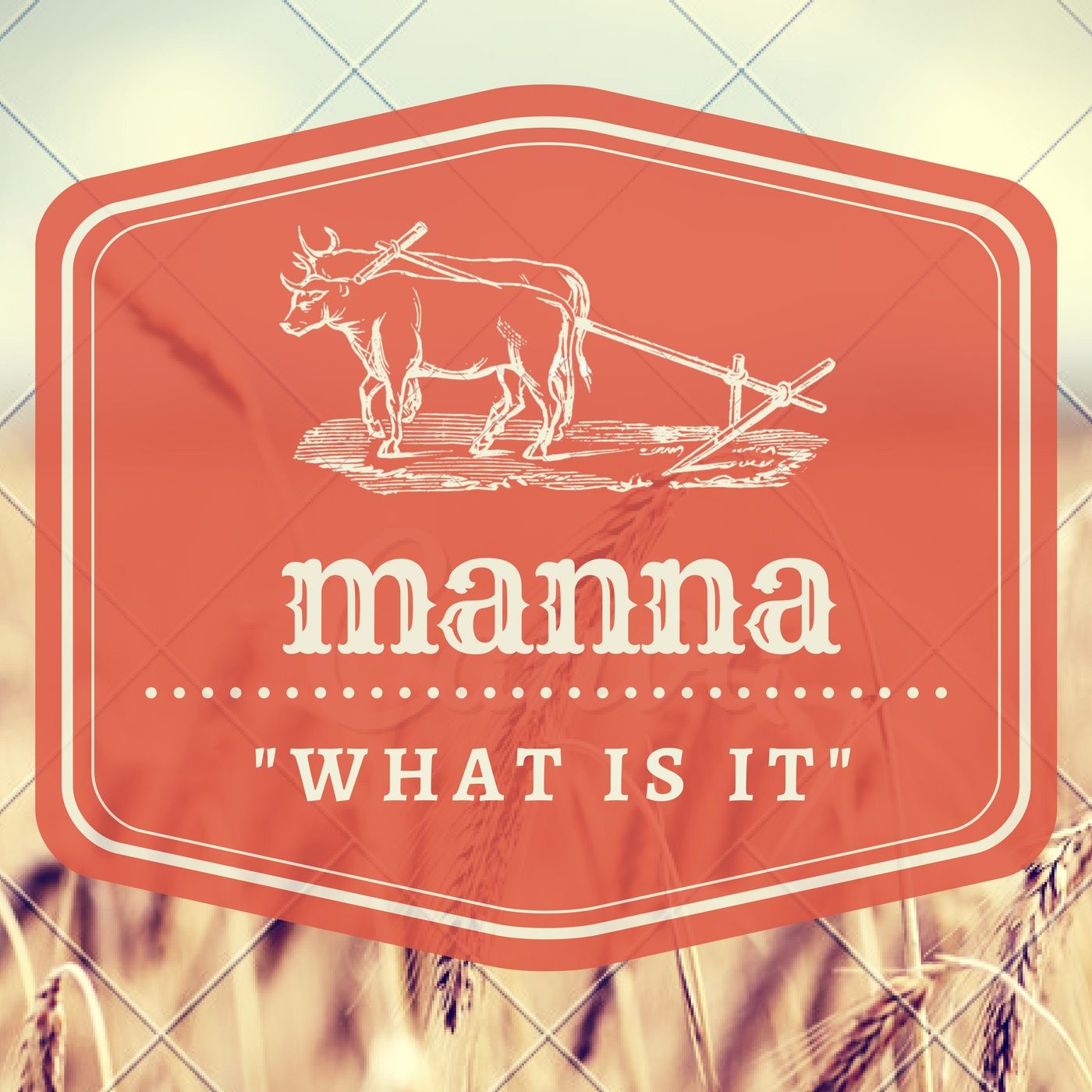 Manna – “What is it?”