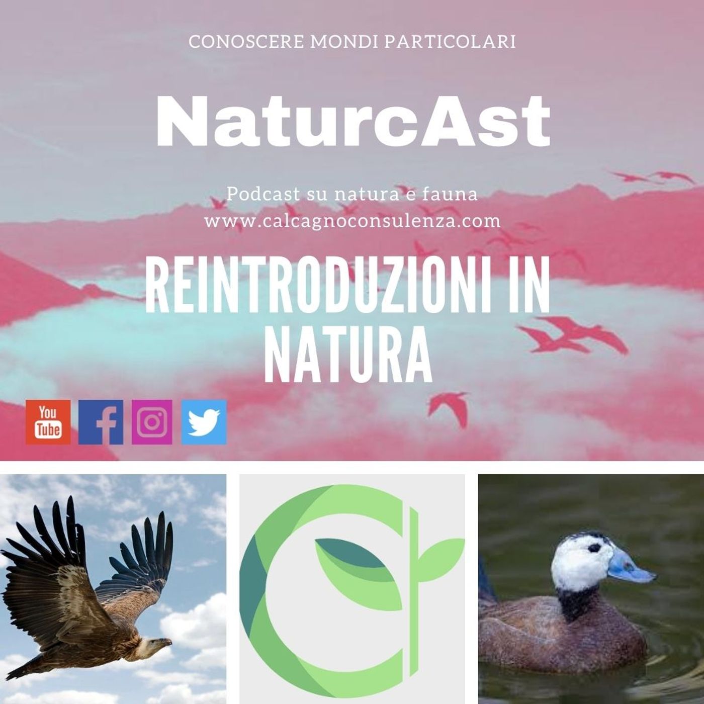 NaturcAst