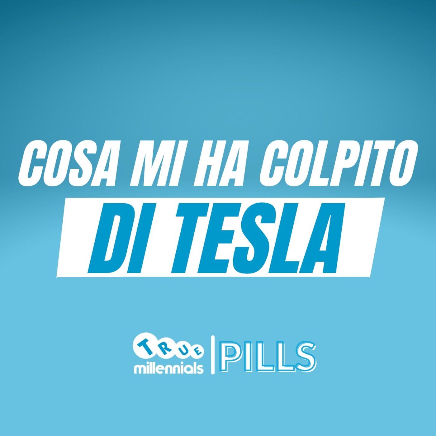 9 mesi in TESLA - ELON MUSK è un rivoluzionario in tutto