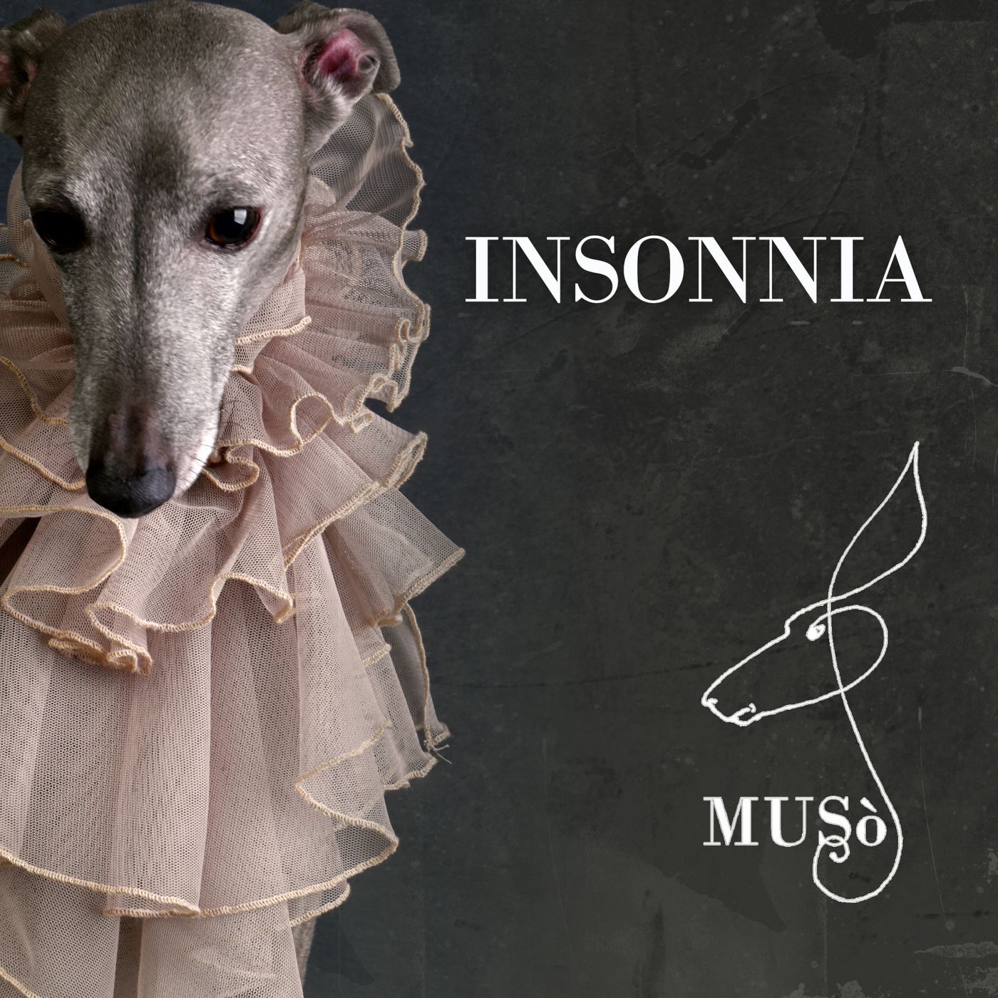 Muso_Podcast