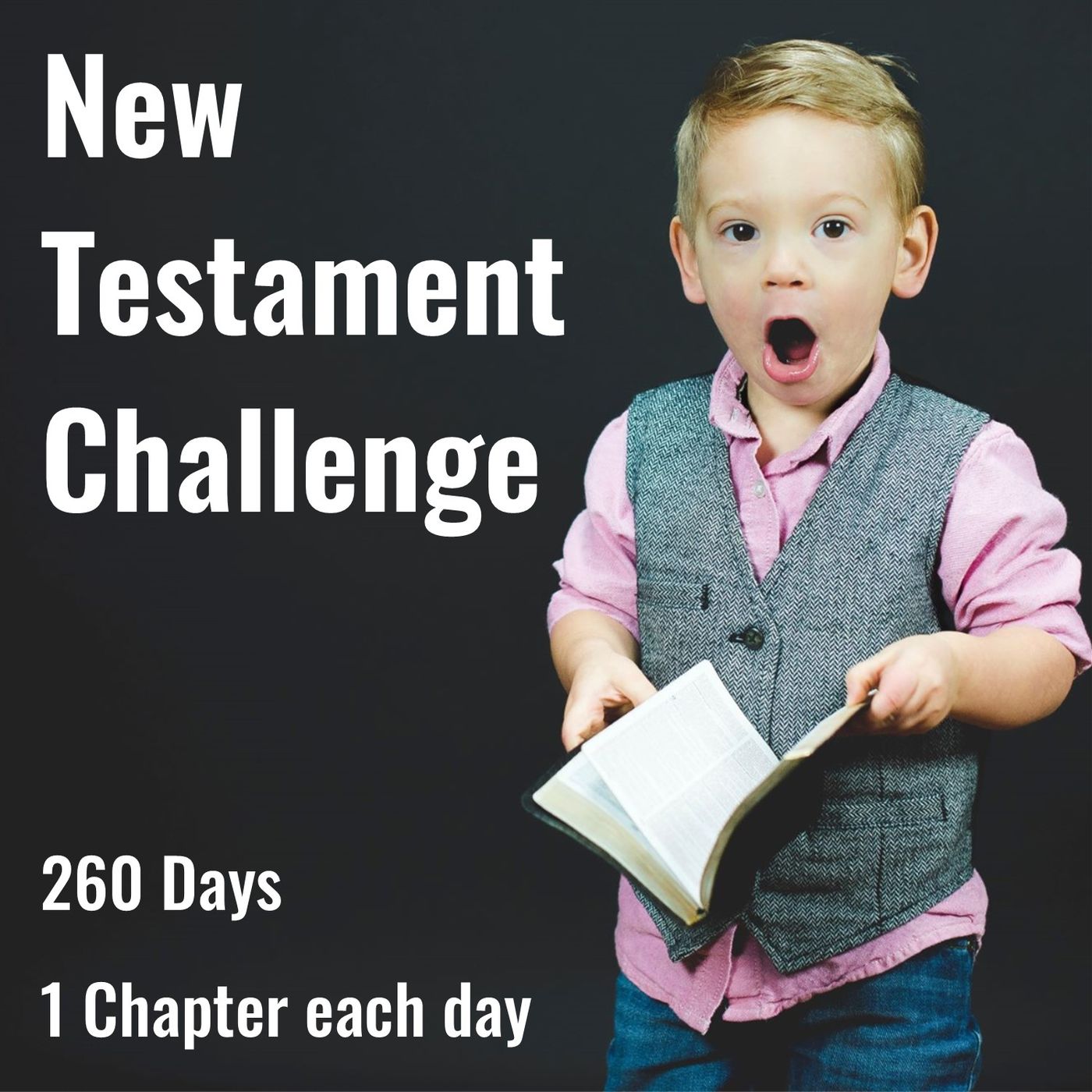 Daily New Testament Challenge