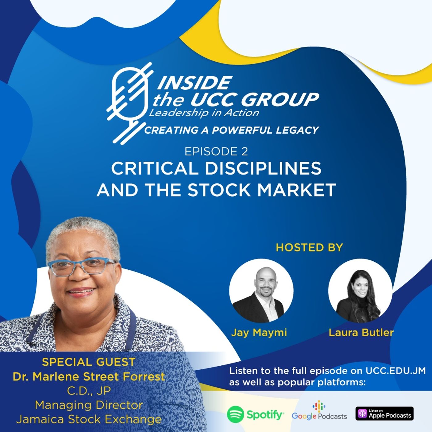 Critical Disciplines & the Stock Market episode artwork