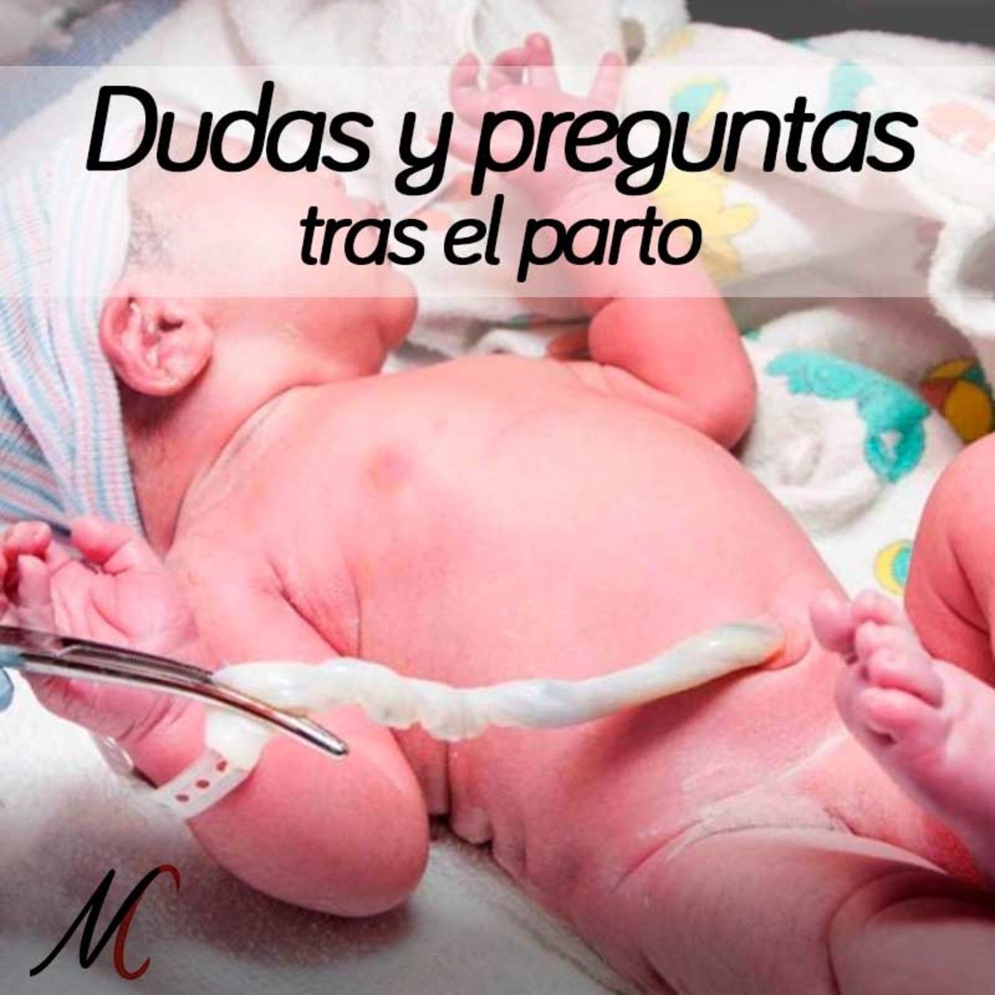 Portada de Nadie como mamá