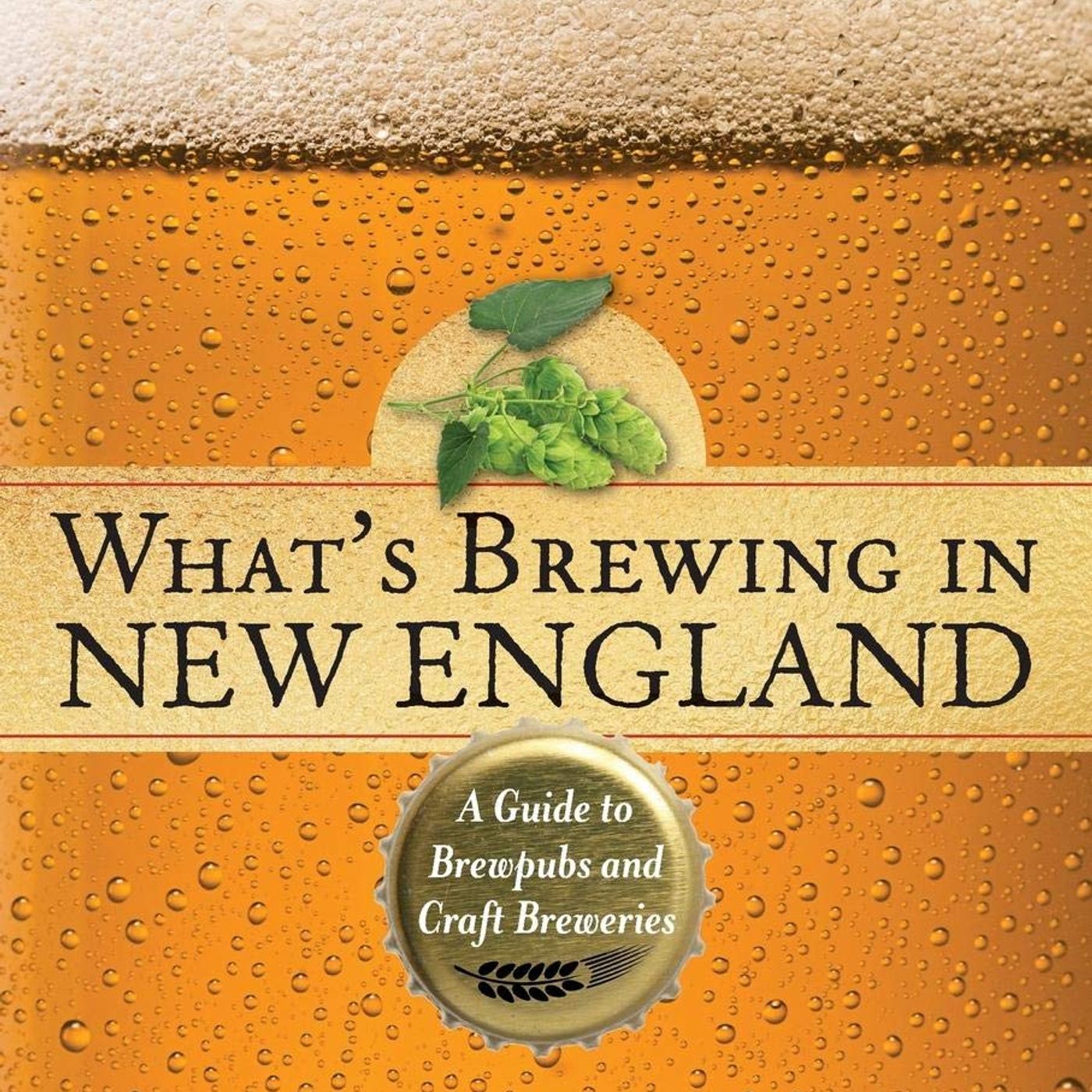 Craft Beer Storm