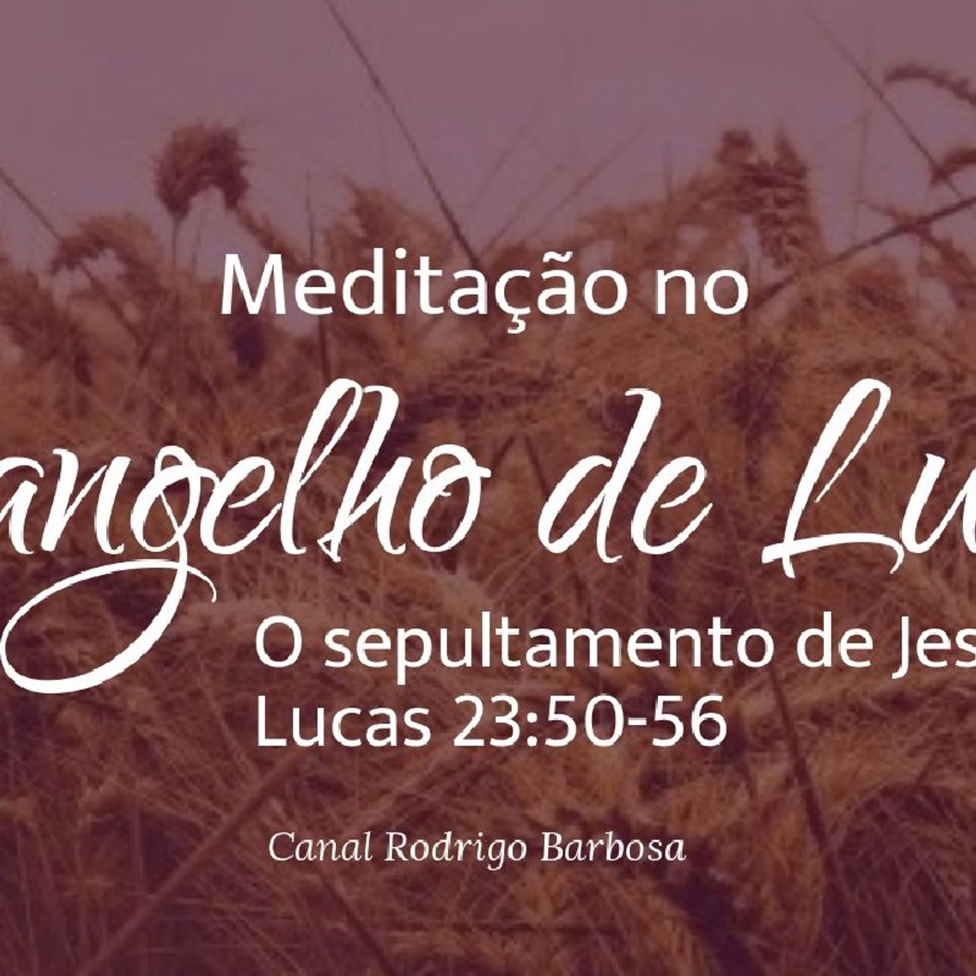 Rodrigo Barbosa