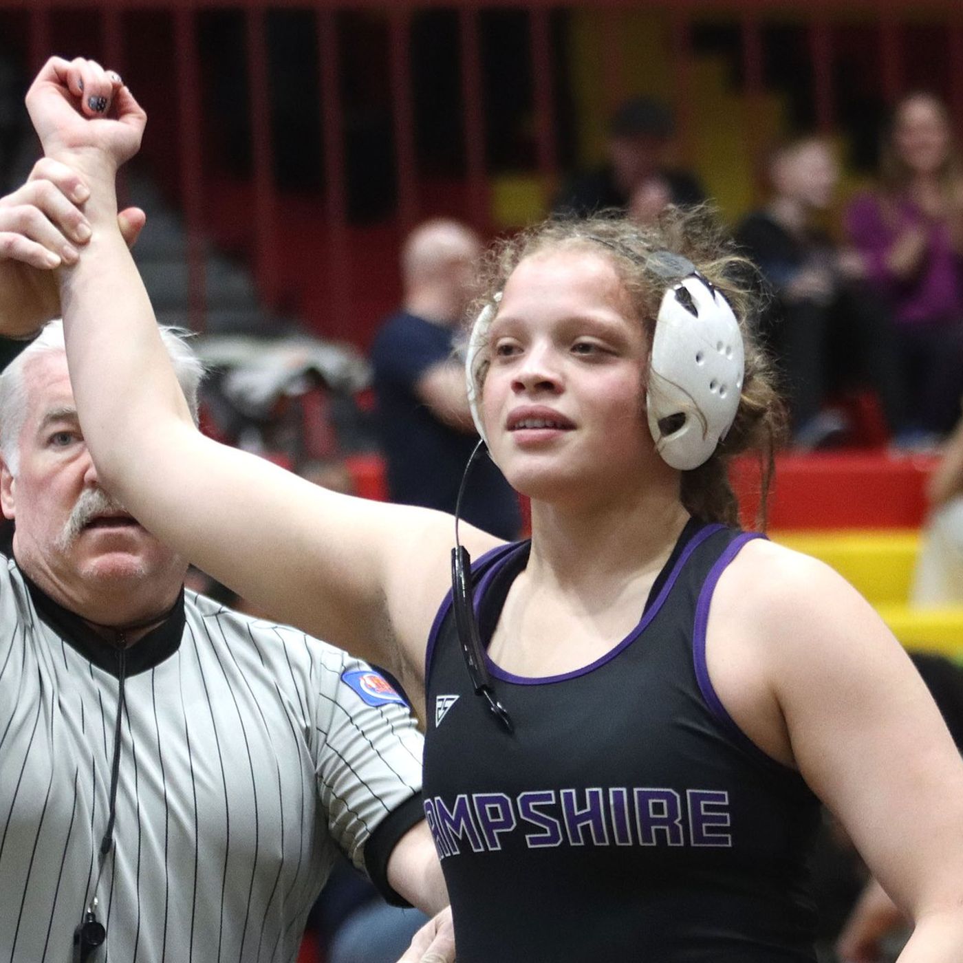 Hampshire qualifies 4 for state, leads McHenry County teams at IHSA Schaumburg Sectional episode artwork