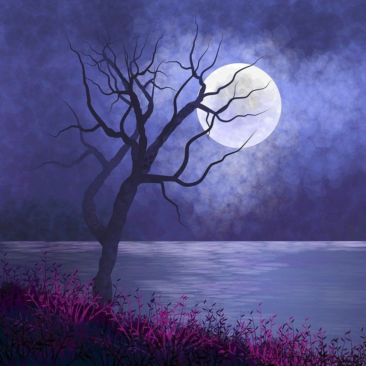 De man die de hele nacht in de rivier stond | Verhaaltjes Over Eerlijkheid episode artwork