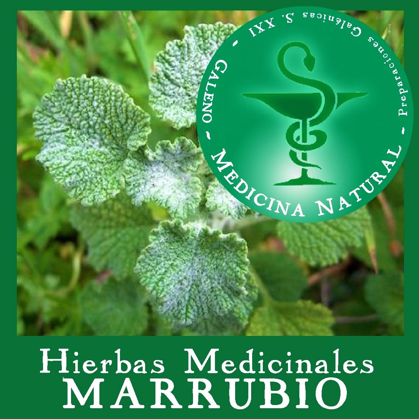 Medicina Natural