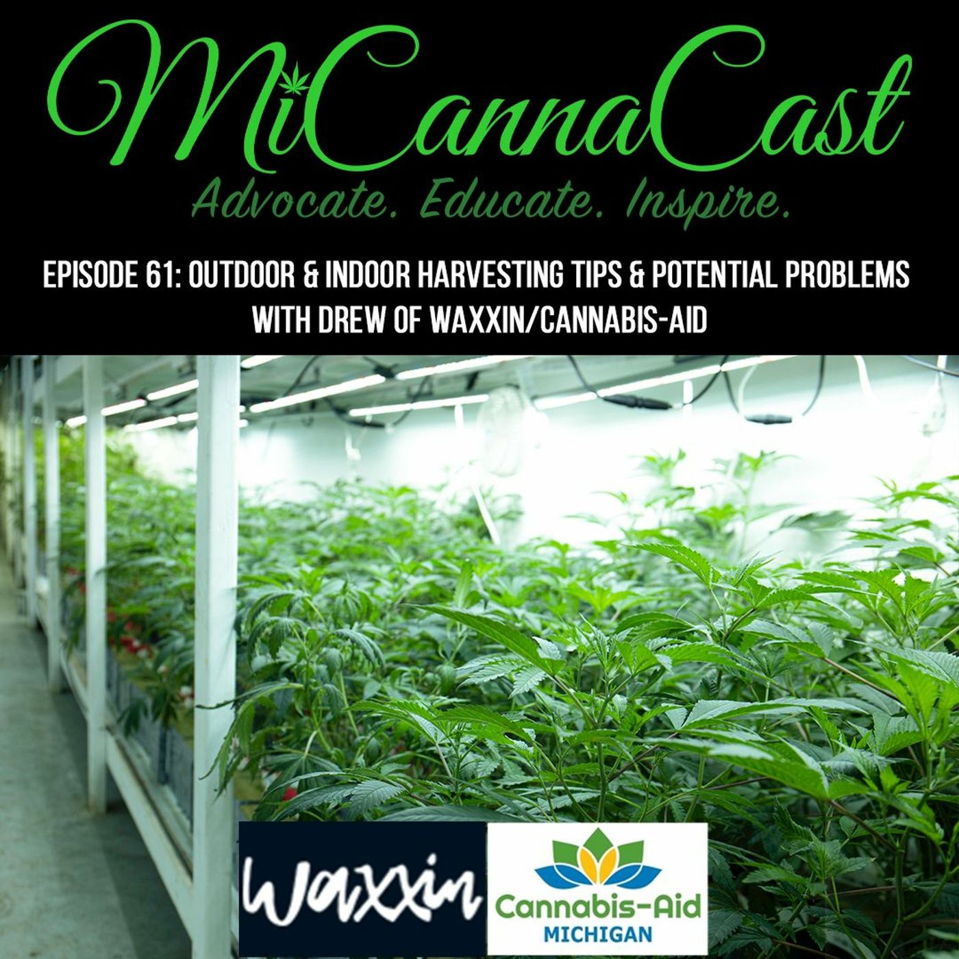 MiCannaCast