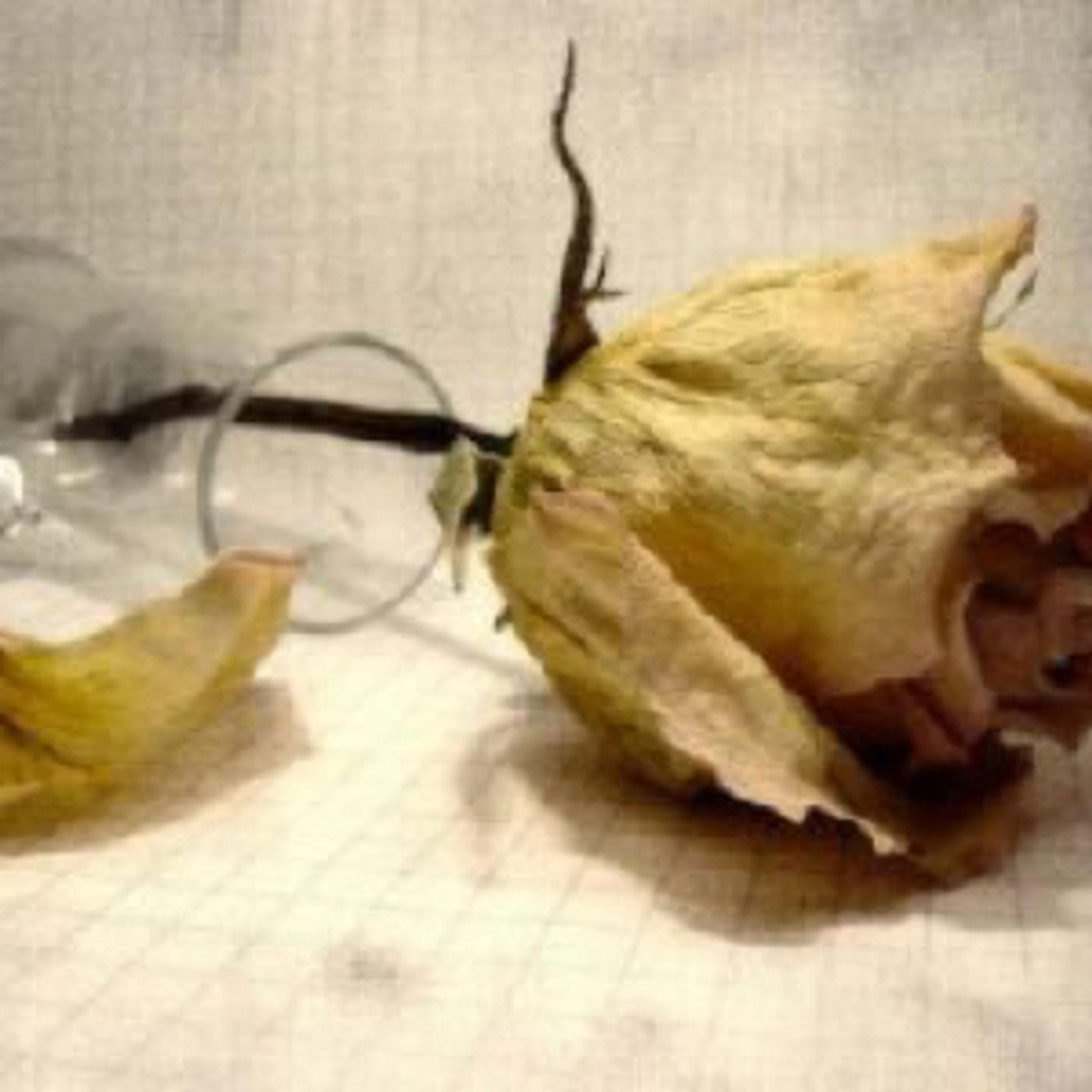 Héctor Garzón\'s Reflexiones