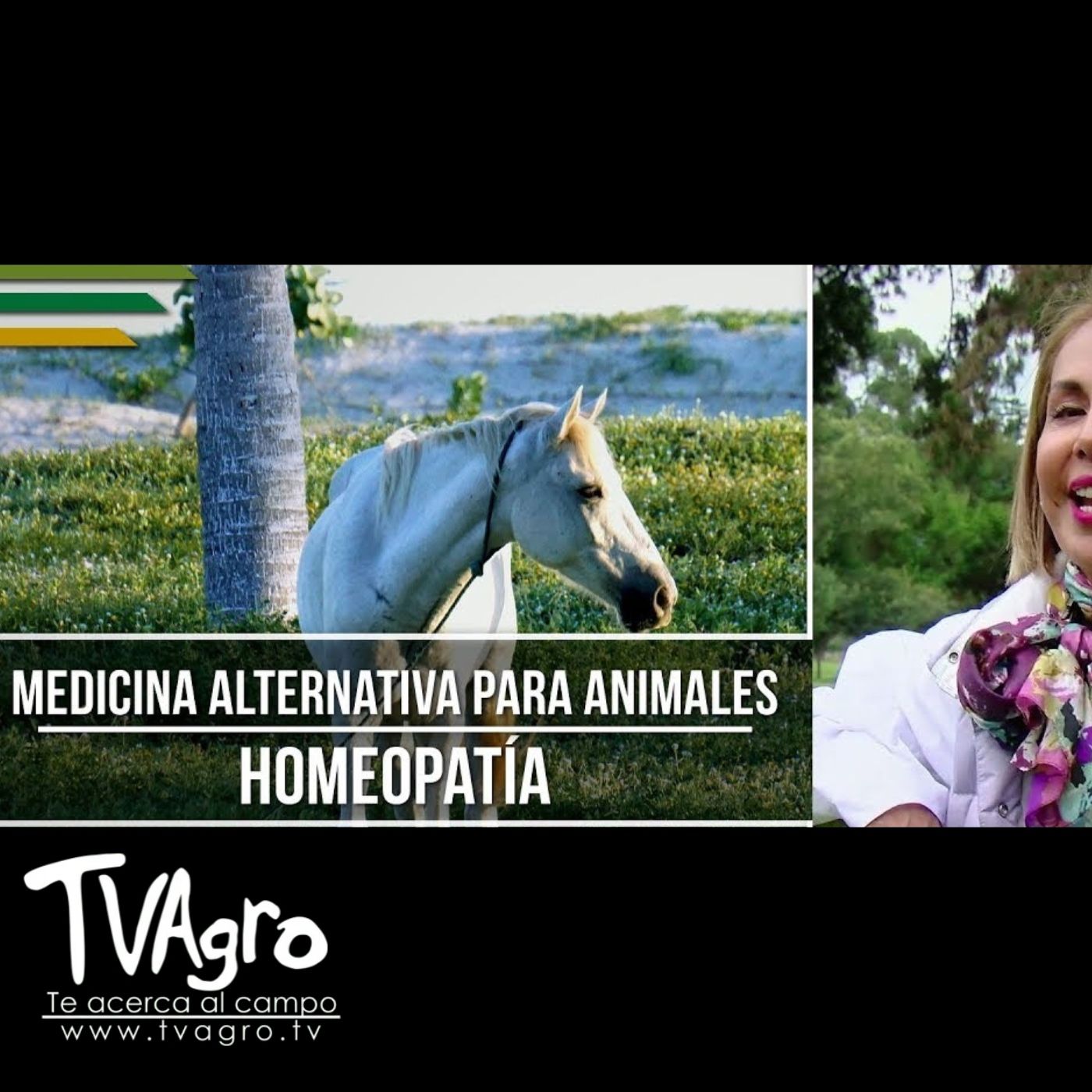 TV AGRO