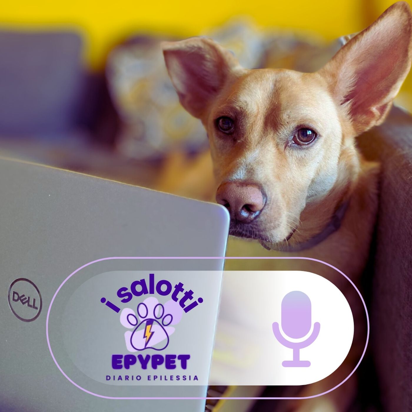 Copertina di I Salotti di EpyPet