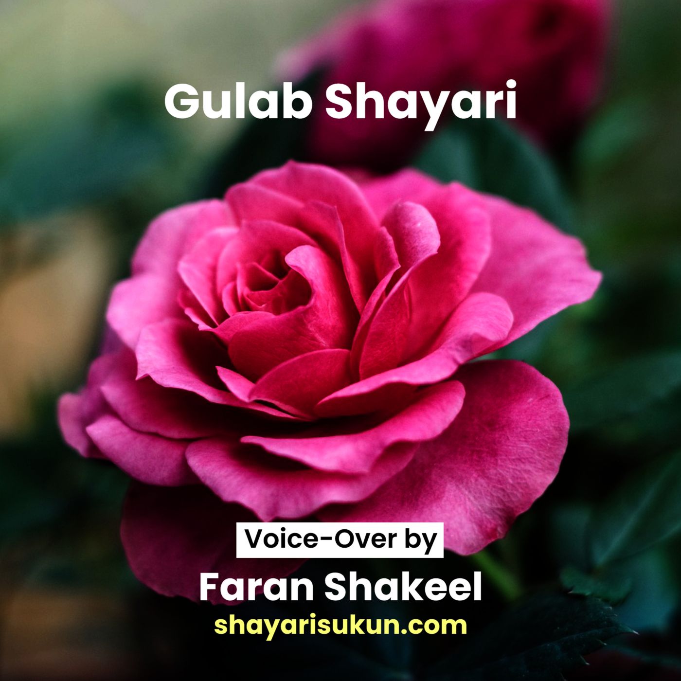 Shayari Sukun | शायरी सुकून