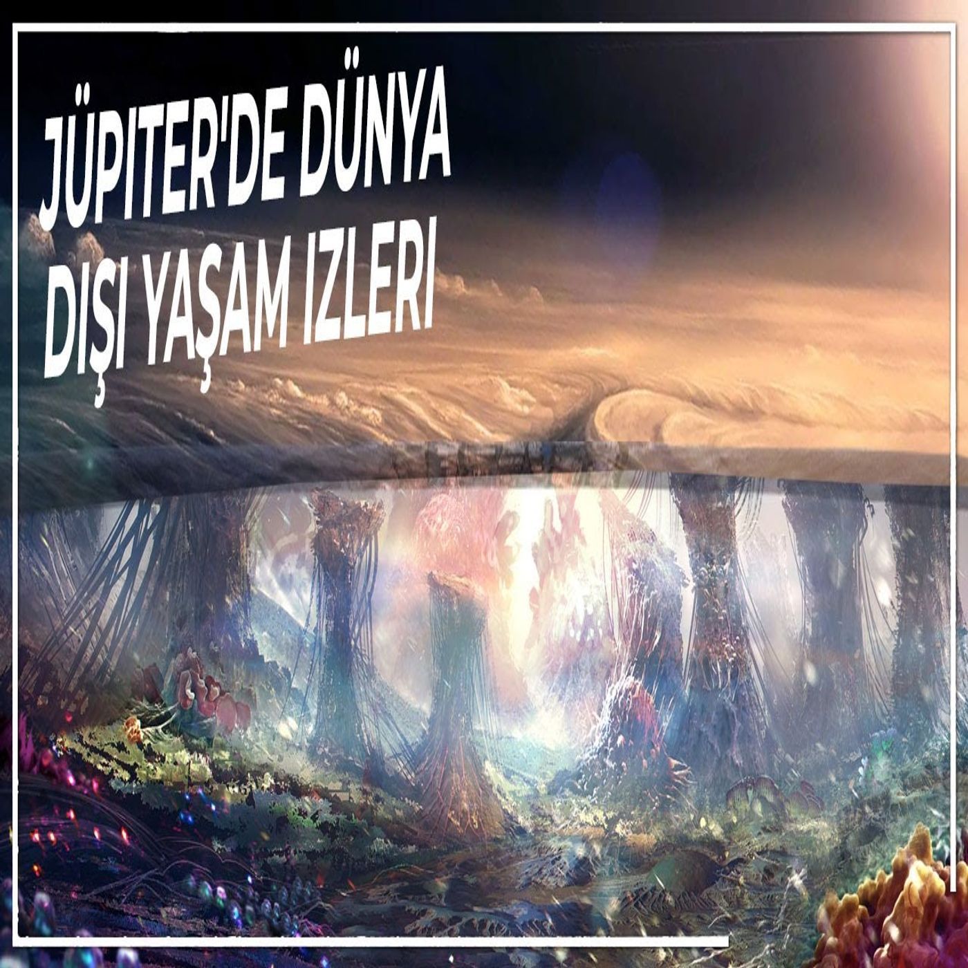 Hodesa | Odesa\'nın Dünyası - Belgesel Türkçe Podcast Çocuklar ve Yetişkinler için Sesli Kitaplar