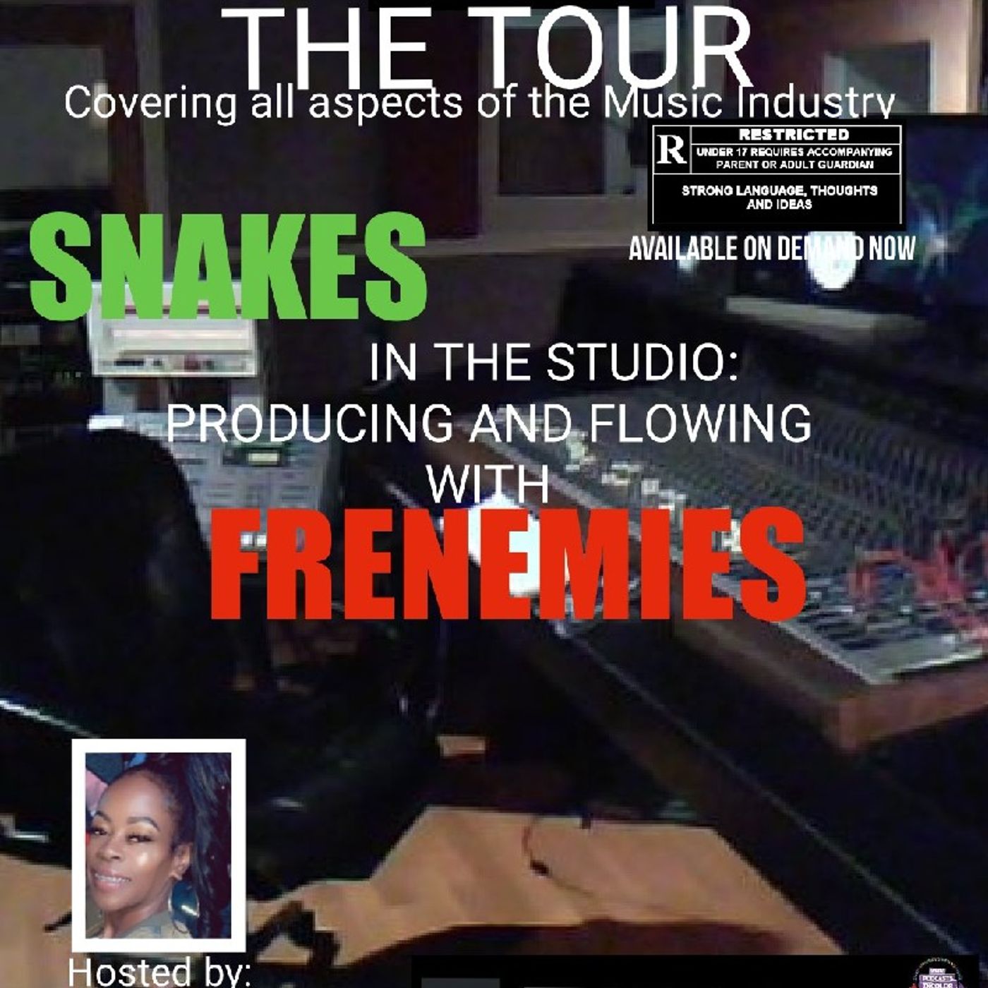 THE TOUR; SNAKES IN THE STUDIO PRODUCING AND FLOWING WITH FRENEMIES episode artwork