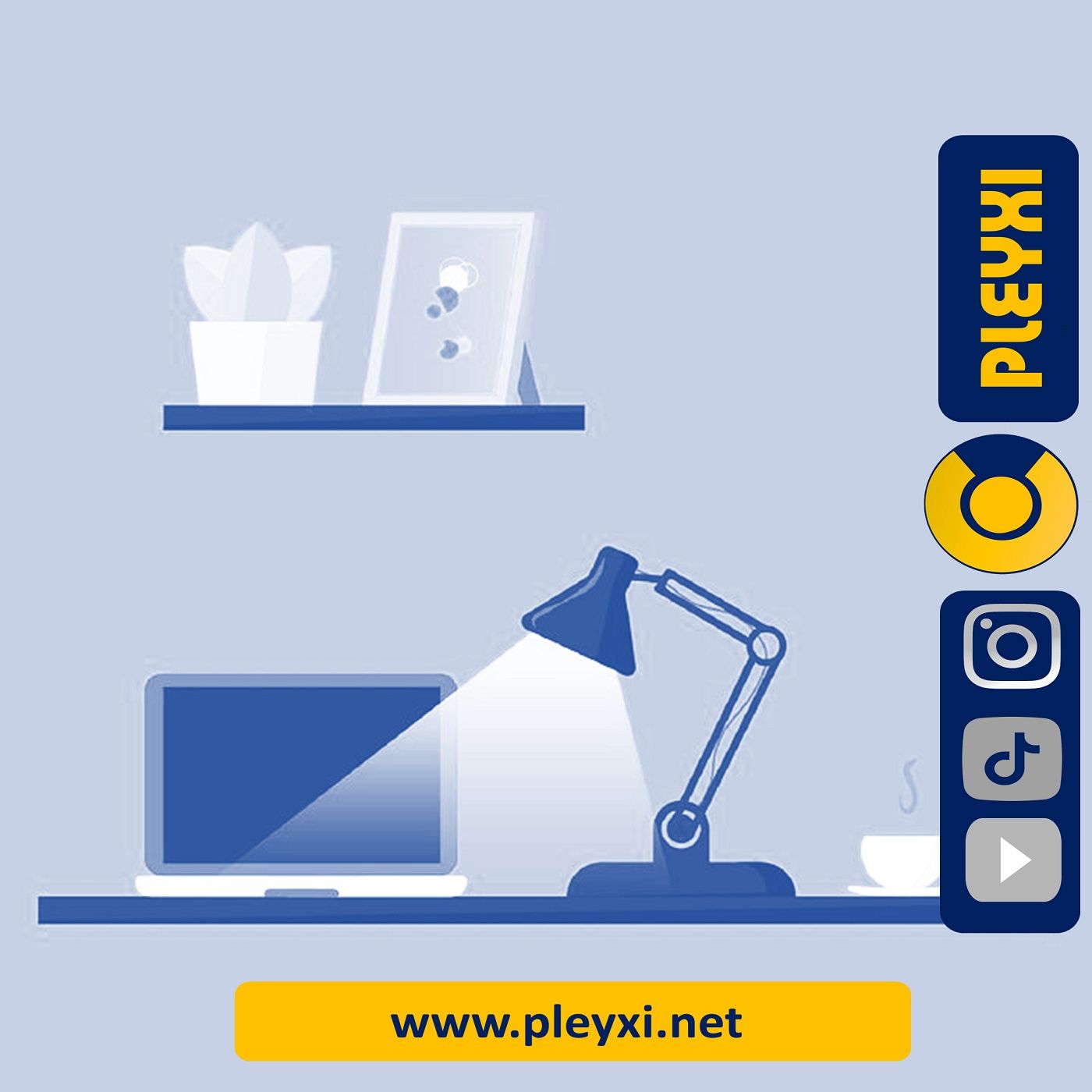 EMPRENDIMIENTO Y MARKETING DIGITAL- PLEYXI
