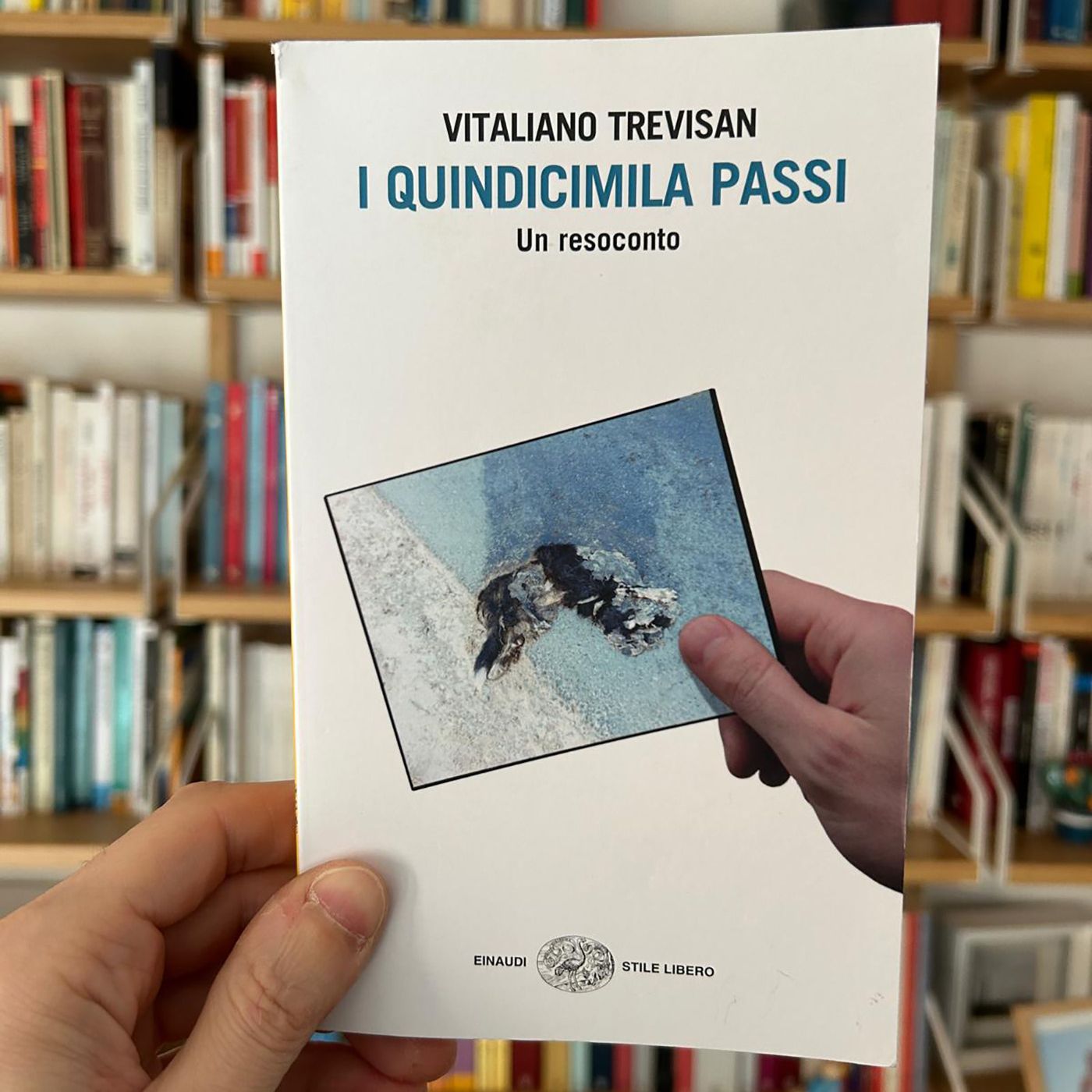 01. I Quindicimila passi di Vitaliano Trevisan episode artwork