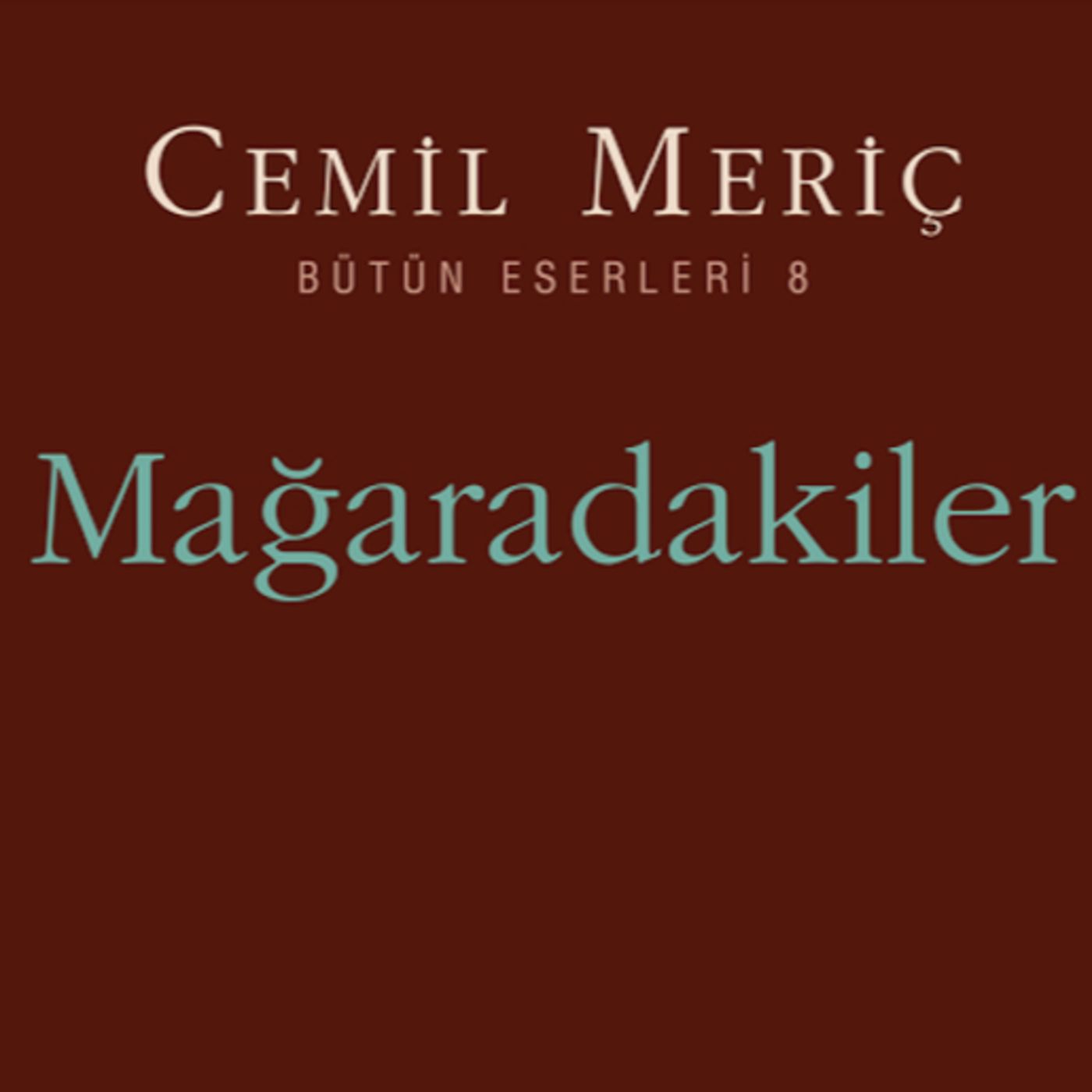 Şiirler Ve Kitaplar