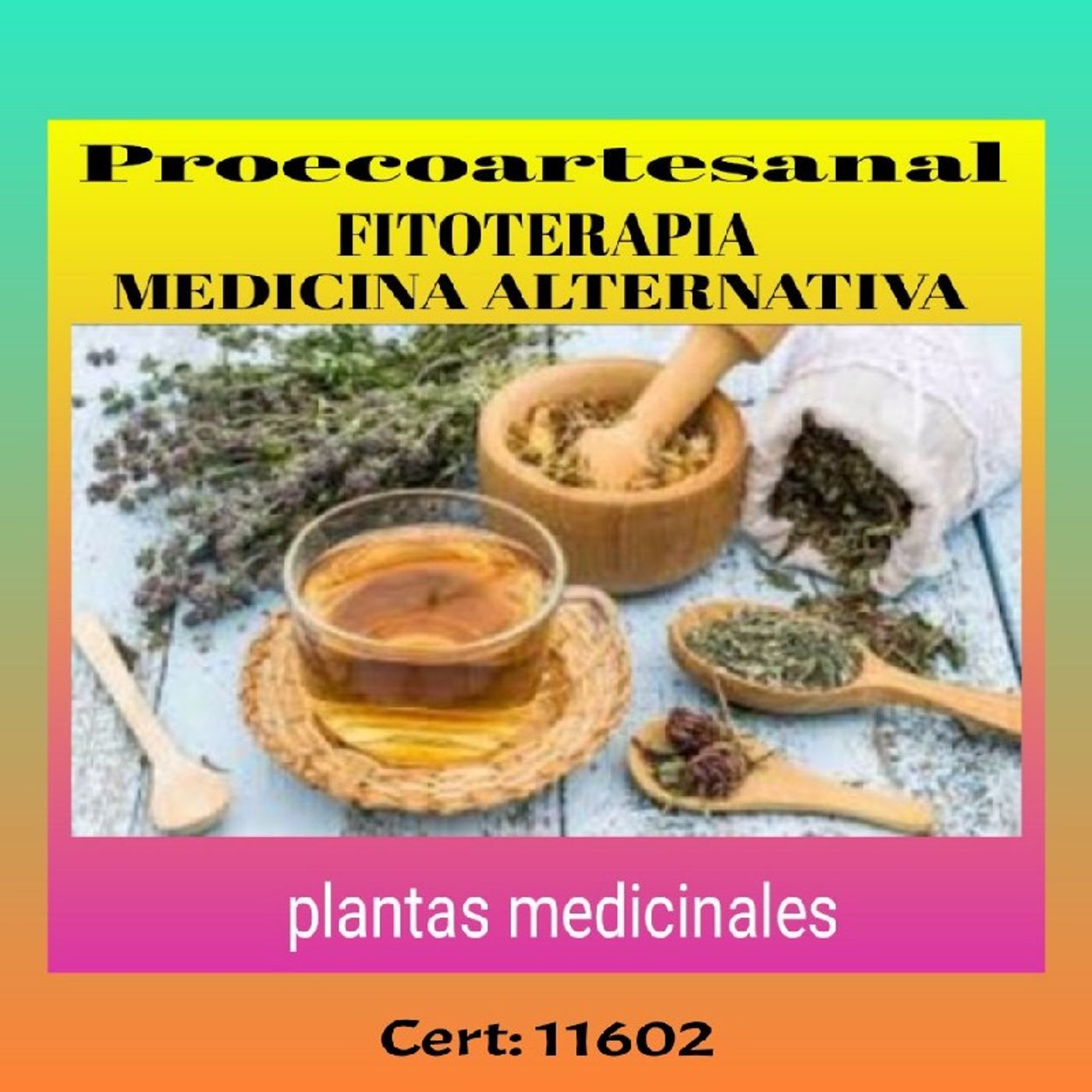 Proecoartesanal Fitoterapia Plantas medicinales episode artwork