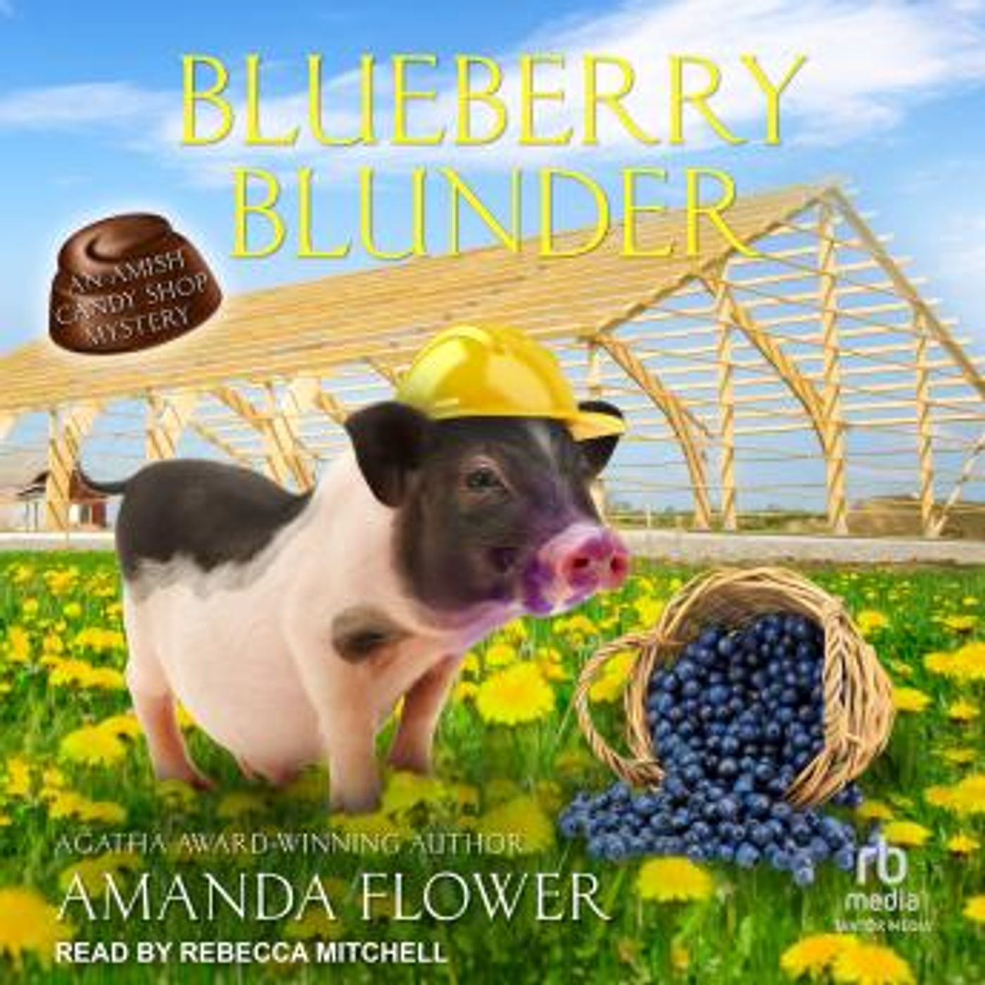 Download Top Full Audiobooks in Mystery, Thriller & Horror, Cozy Mystery