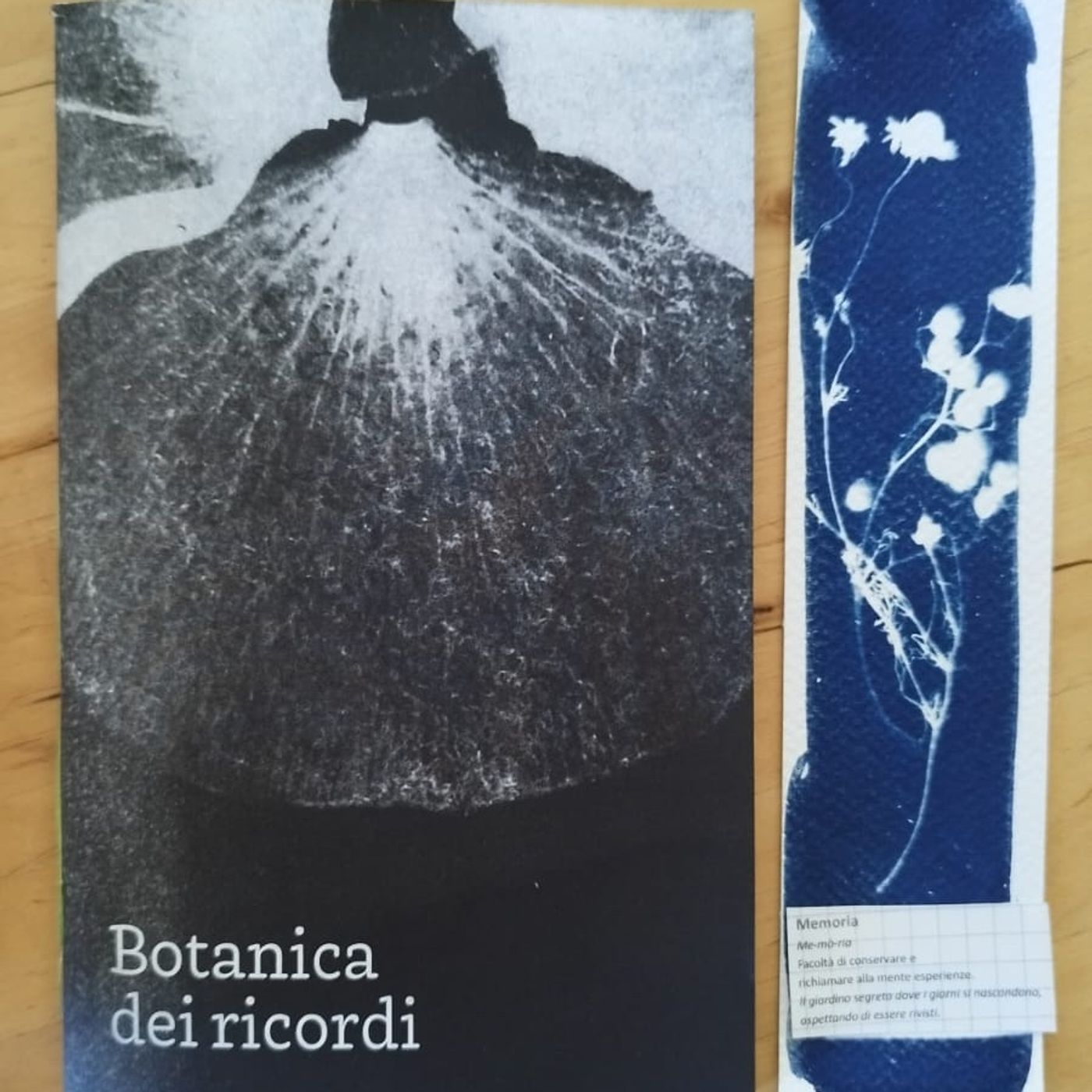 La Botanica dei Ricordi podcast artwork