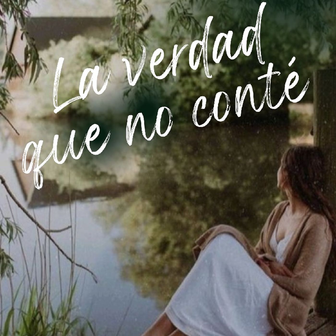 La verdad que no conté episode artwork