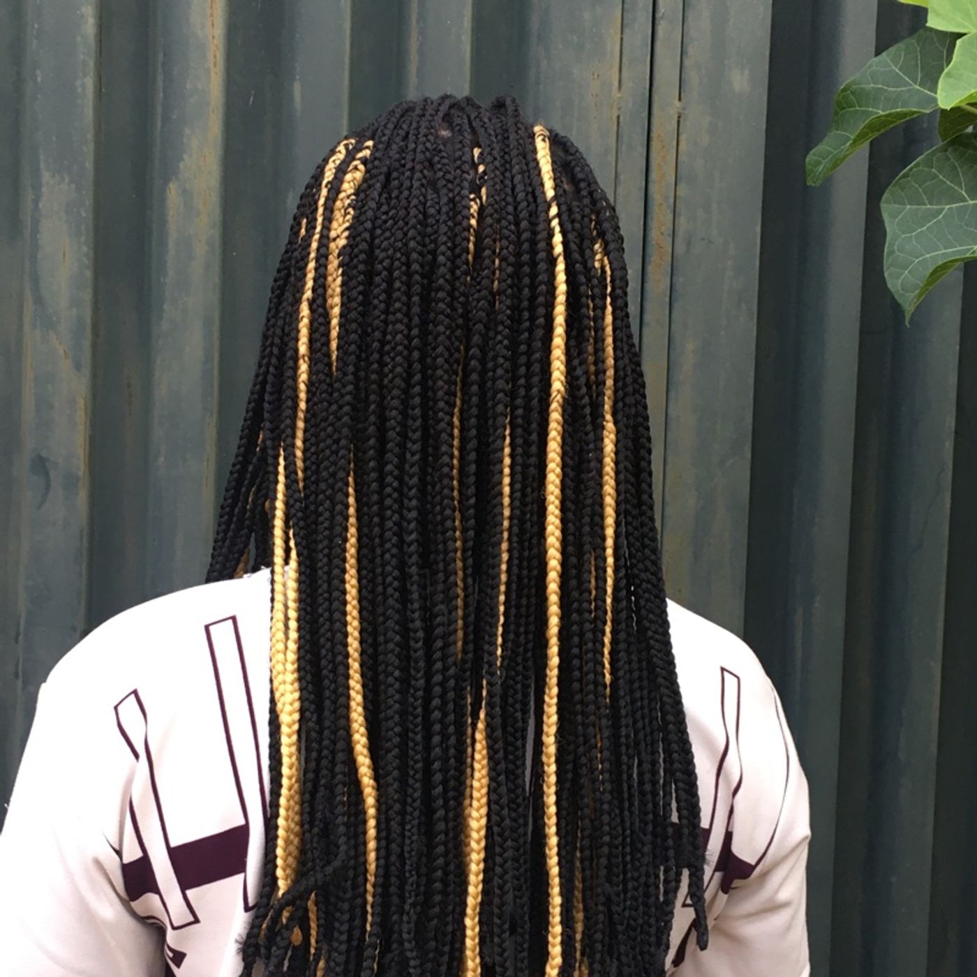 before installing braids episode artwork