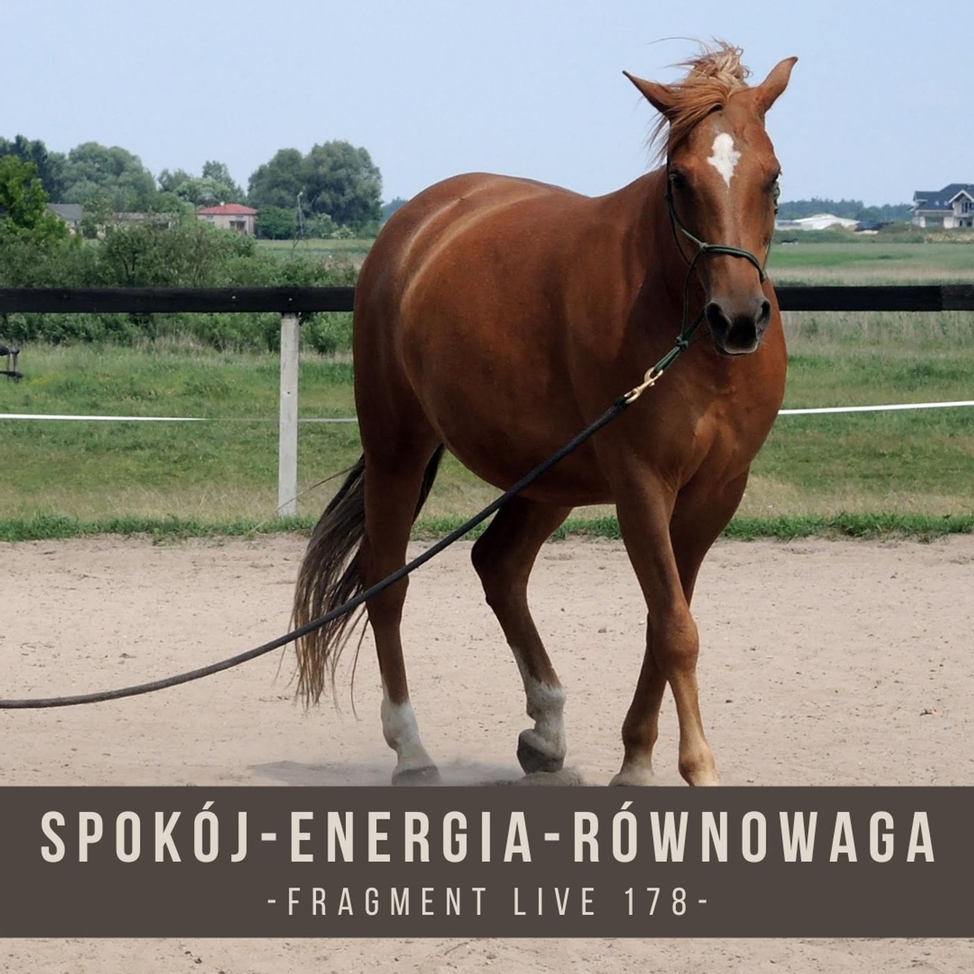 Spokój Energia Równowaga - fragment live 178 episode artwork