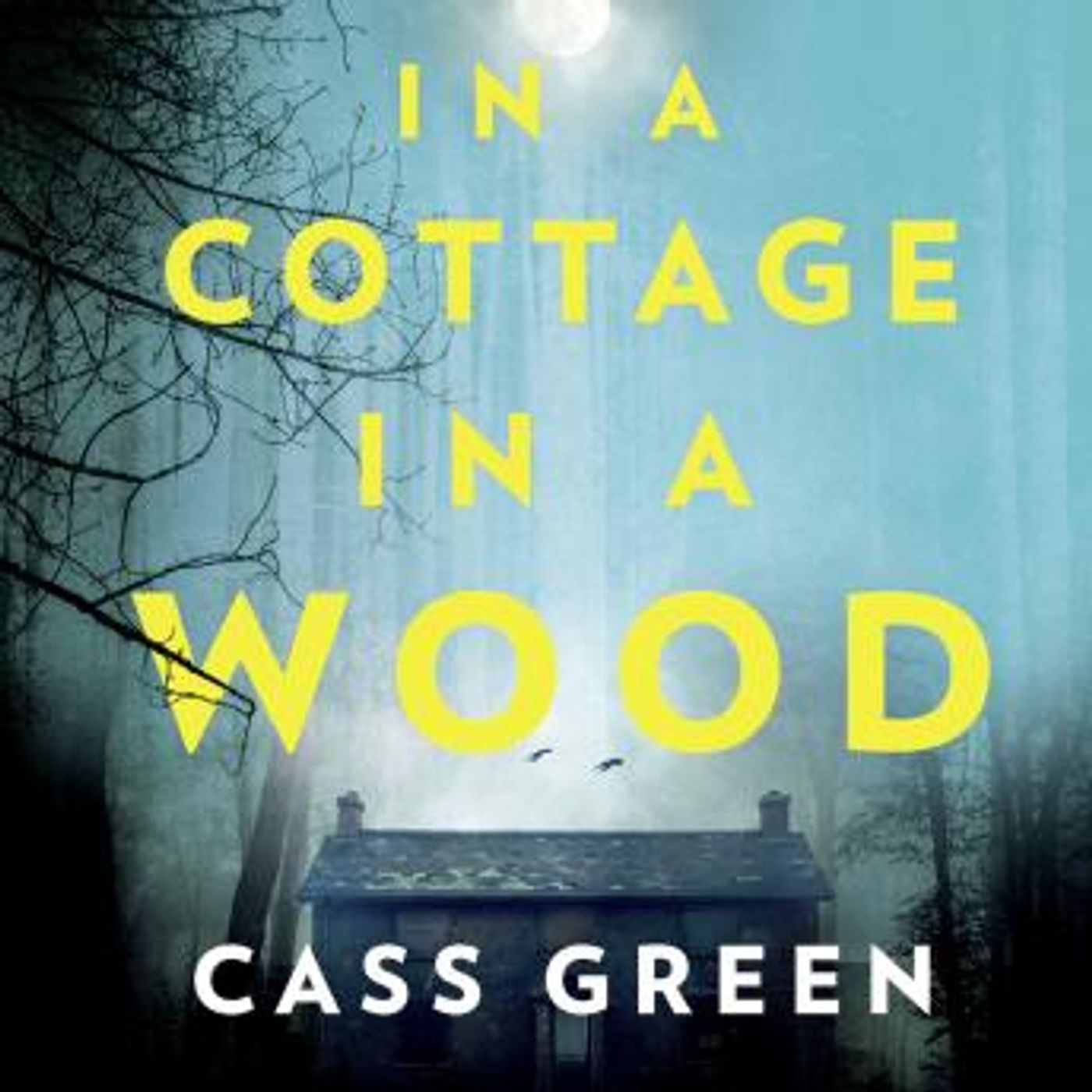 Best Full Audiobooks in Mystery, Thriller & Horror, Police & Detective