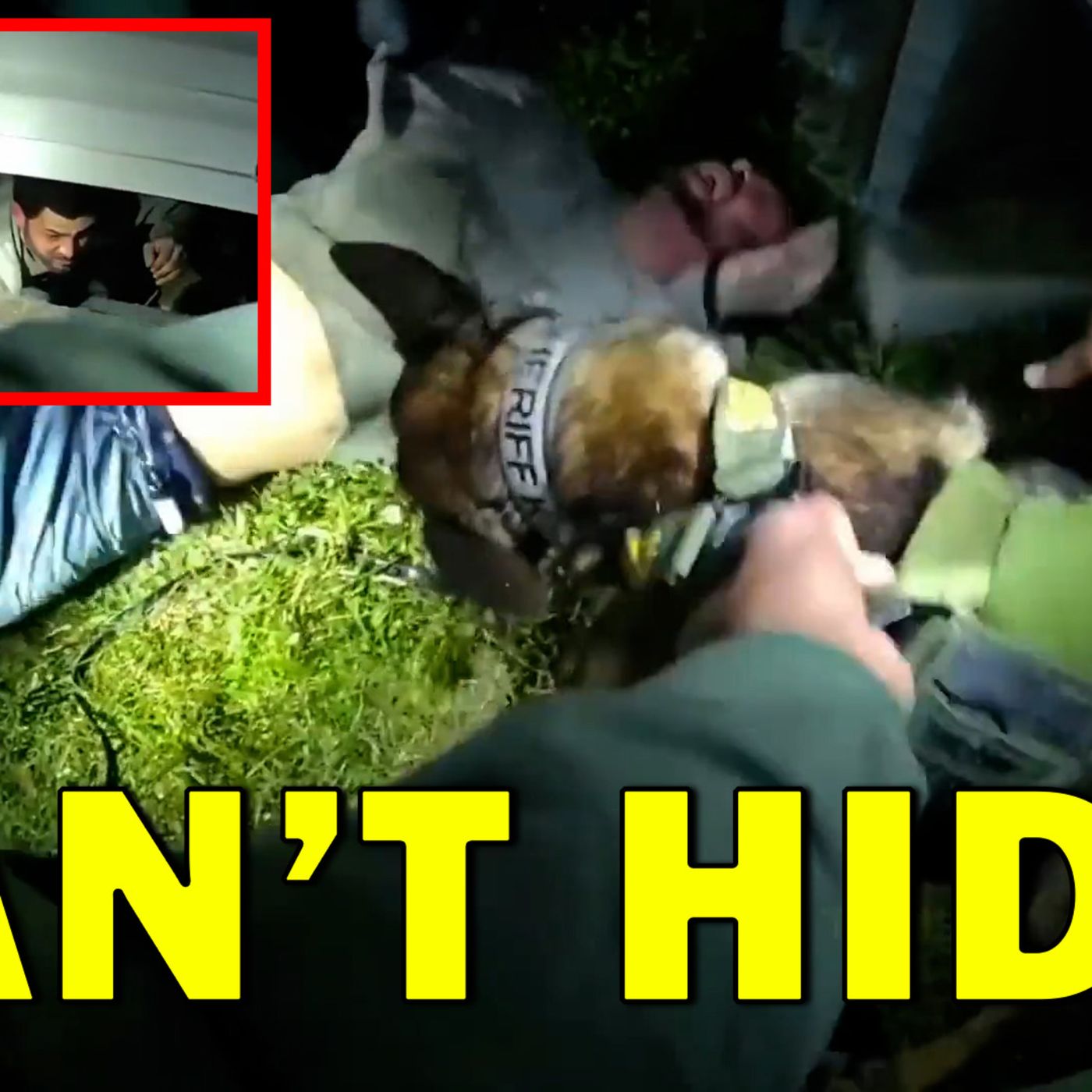 There’s No Place This Criminal Could Hide That K-9 Uno Couldn’t Find! LEO Round Table S11E059 — LEO Round Table cover