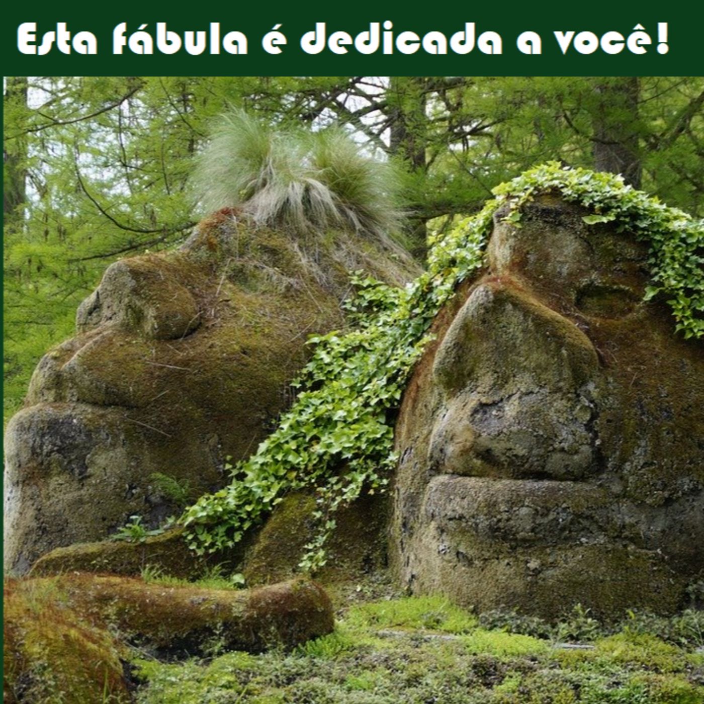 Contos Clássicos
