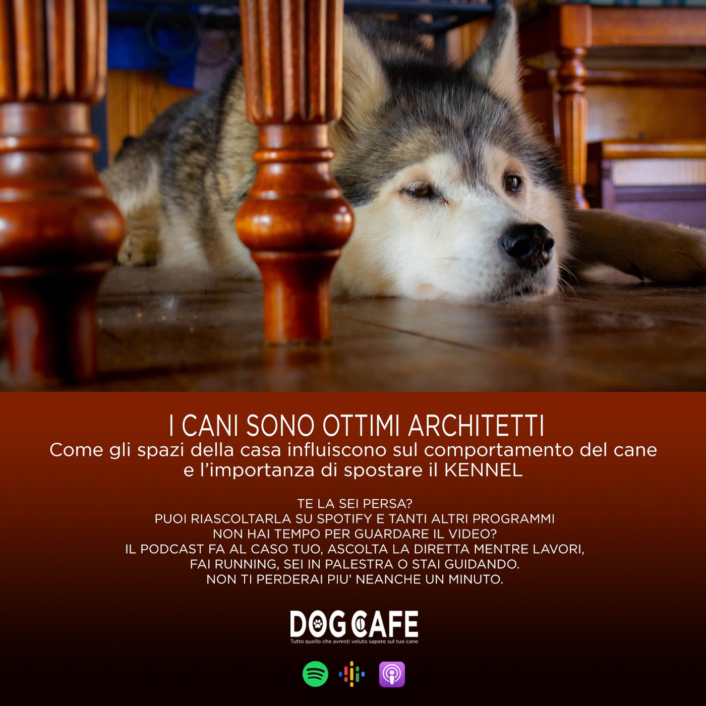 Dog Cafe Podcast