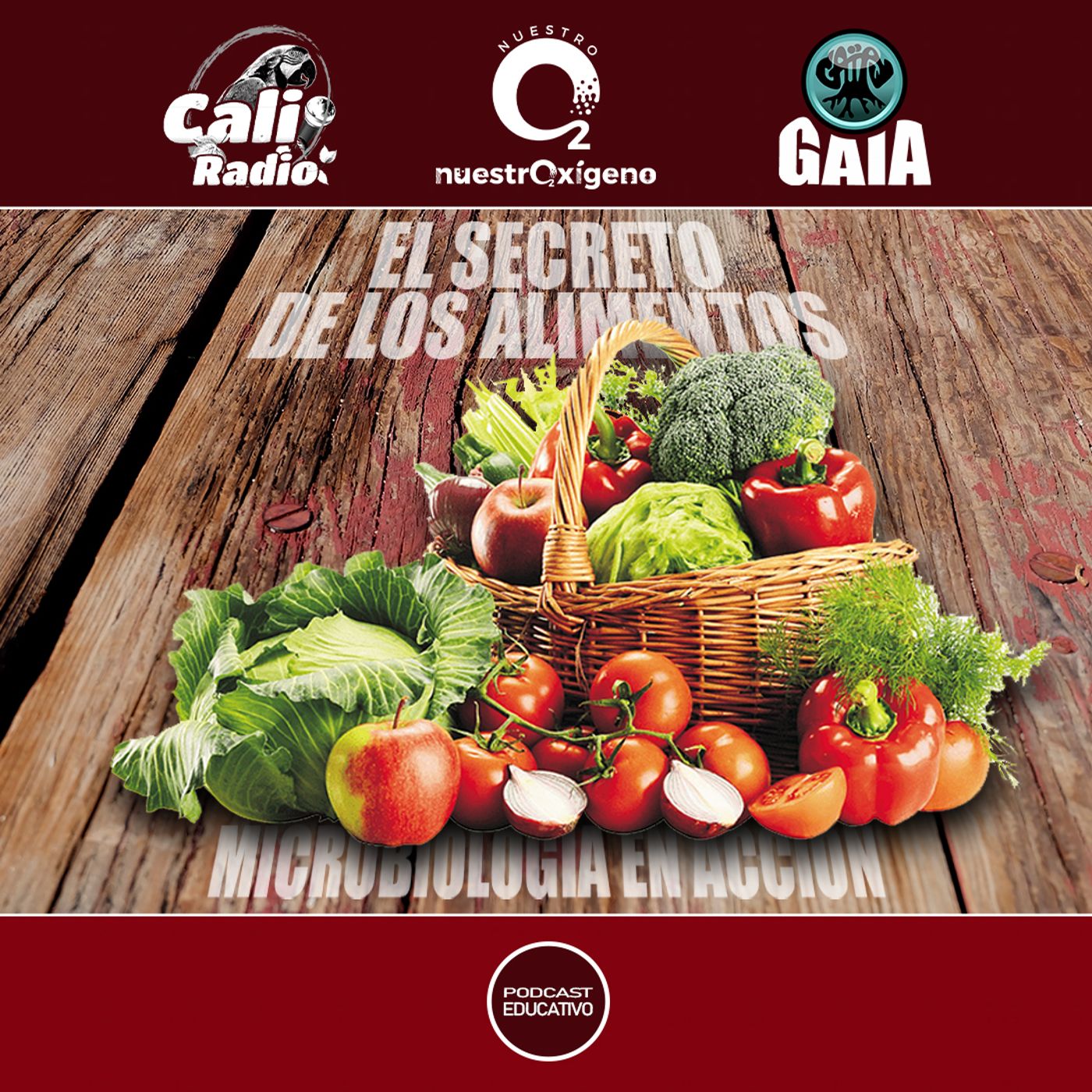 NUESTRO OXÍGENO El secreto de los alimentos, microbiología en acción episode artwork