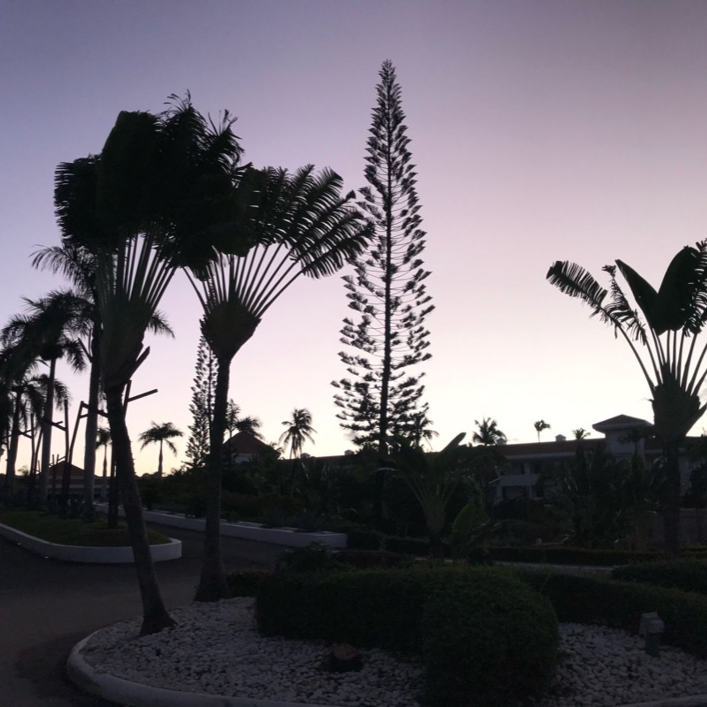 Episodio 11 - El podcast de Luismiguel Rosa manzanillo