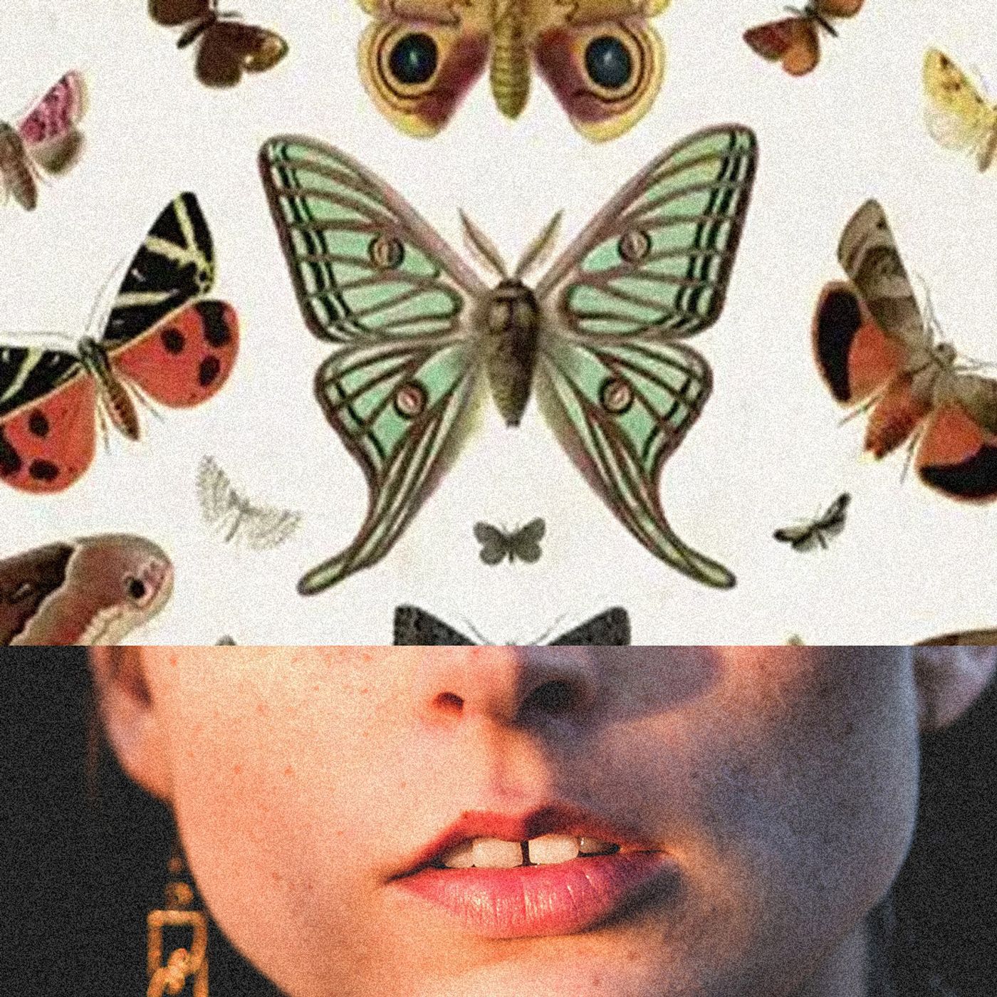 The Zen Circus, Fask Animals and Slow Kids, La Rappresentante di Lista – Che cos'è una canzone