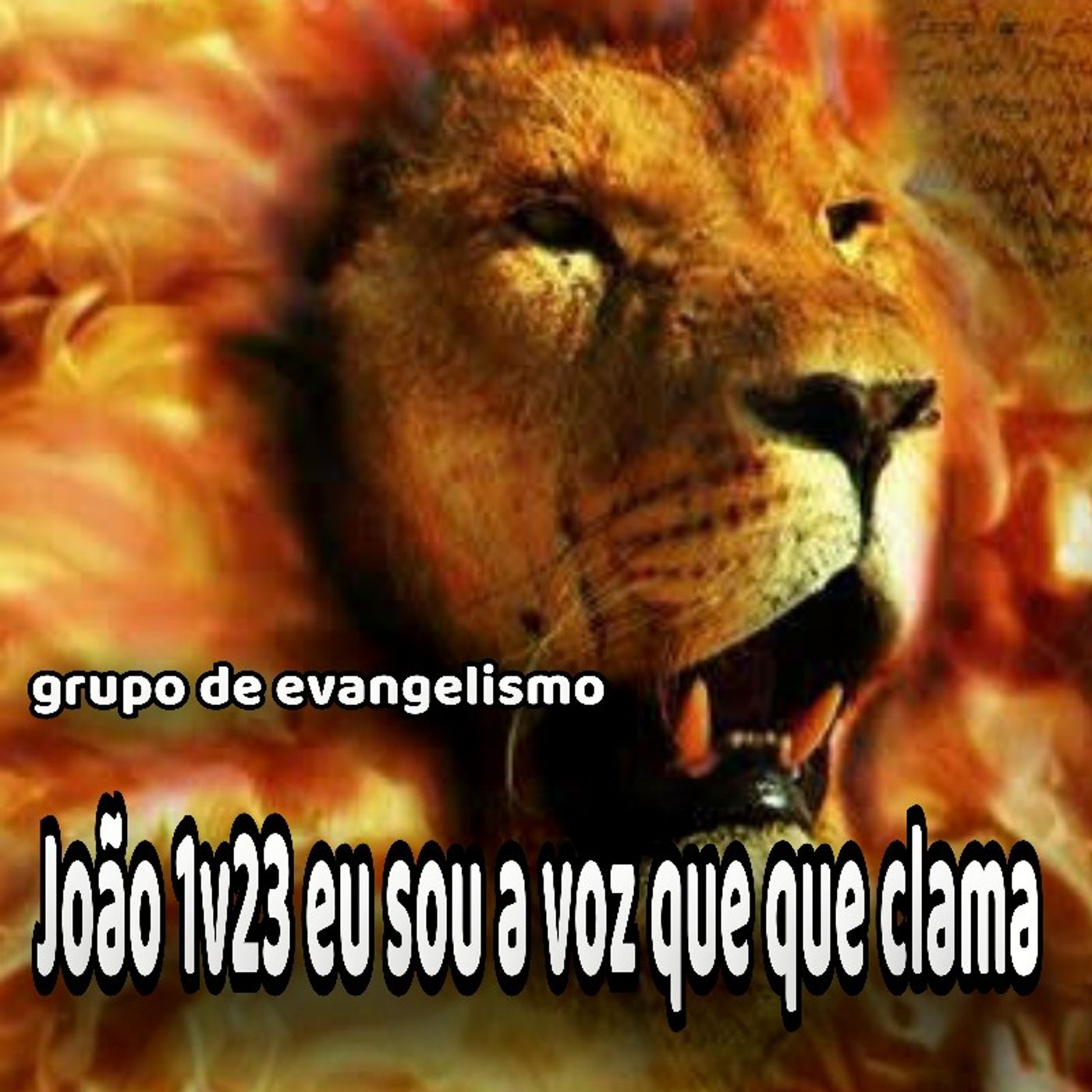 voz que clama no deserto.