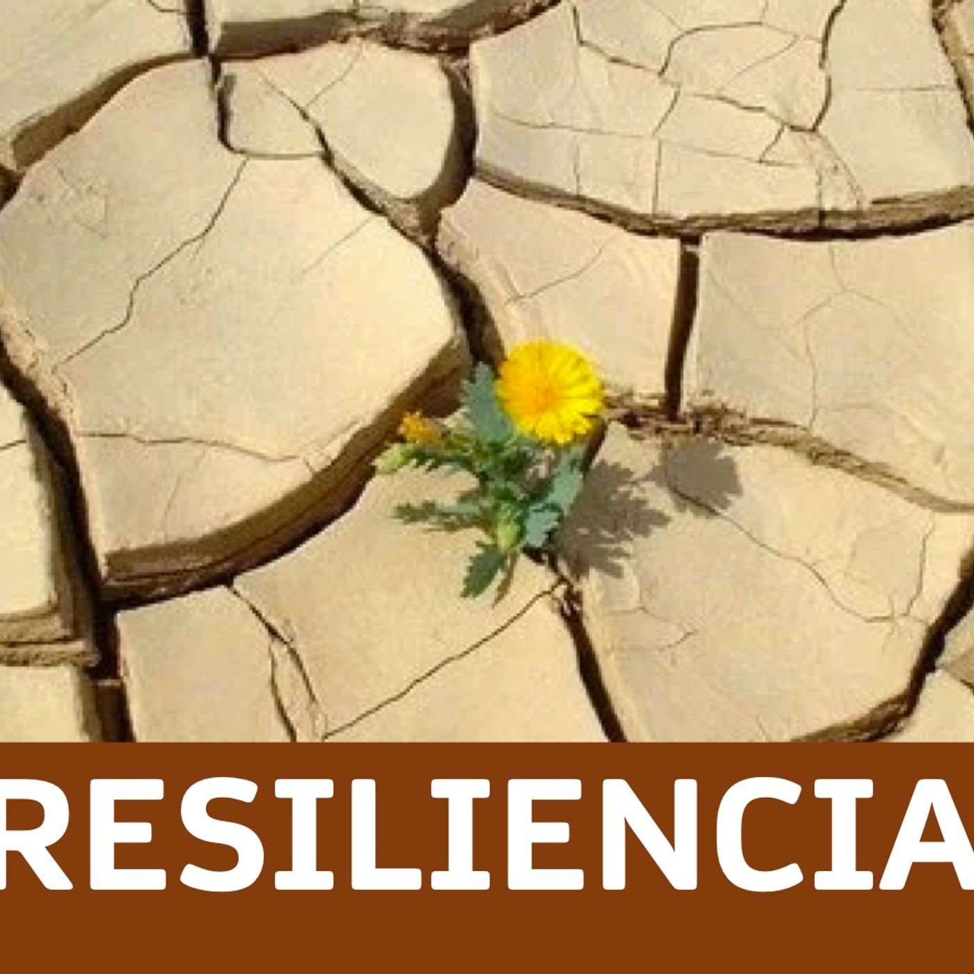 Cambios y Resiliencia podcast