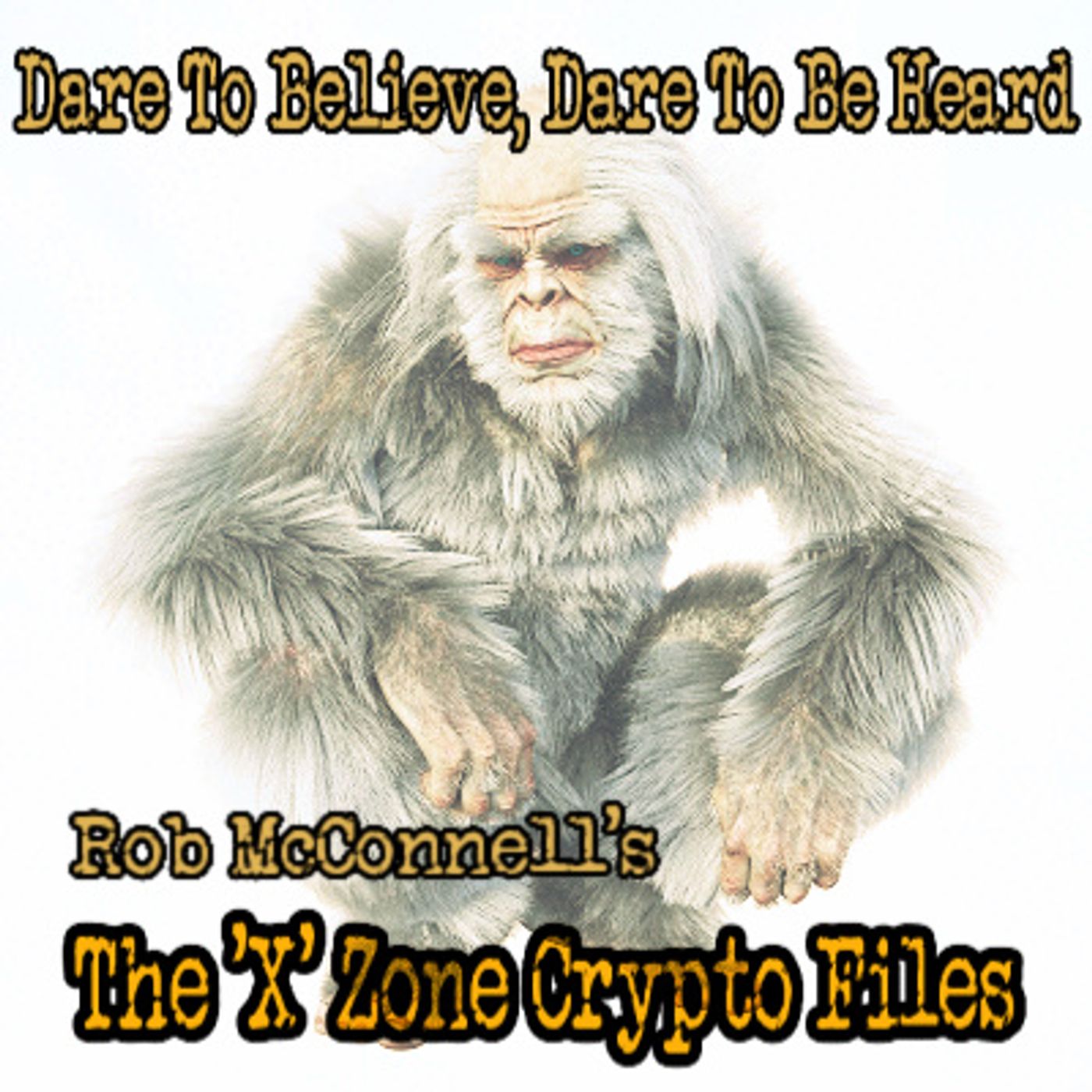 The ‘X’ Zone Crypto Files