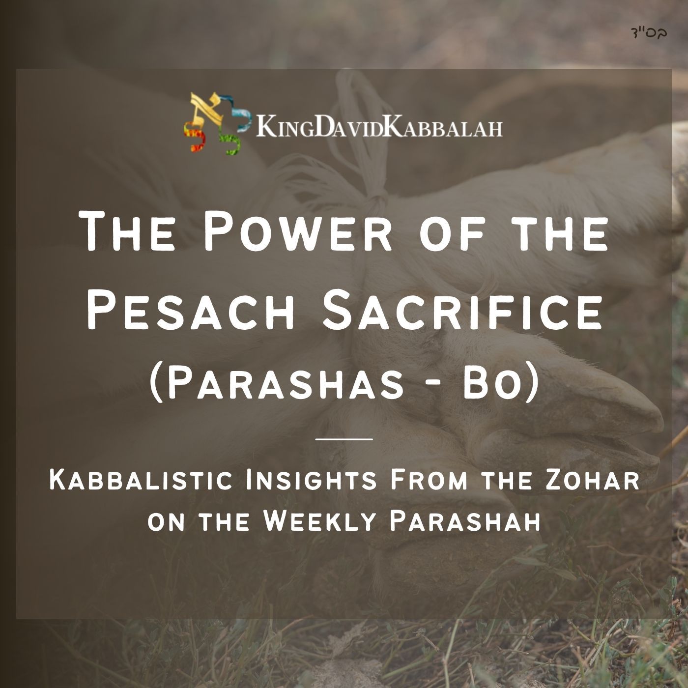 The Power of the Pesach Sacrifice - Kabbalistic Inspiration on the Parasha from the Zohar