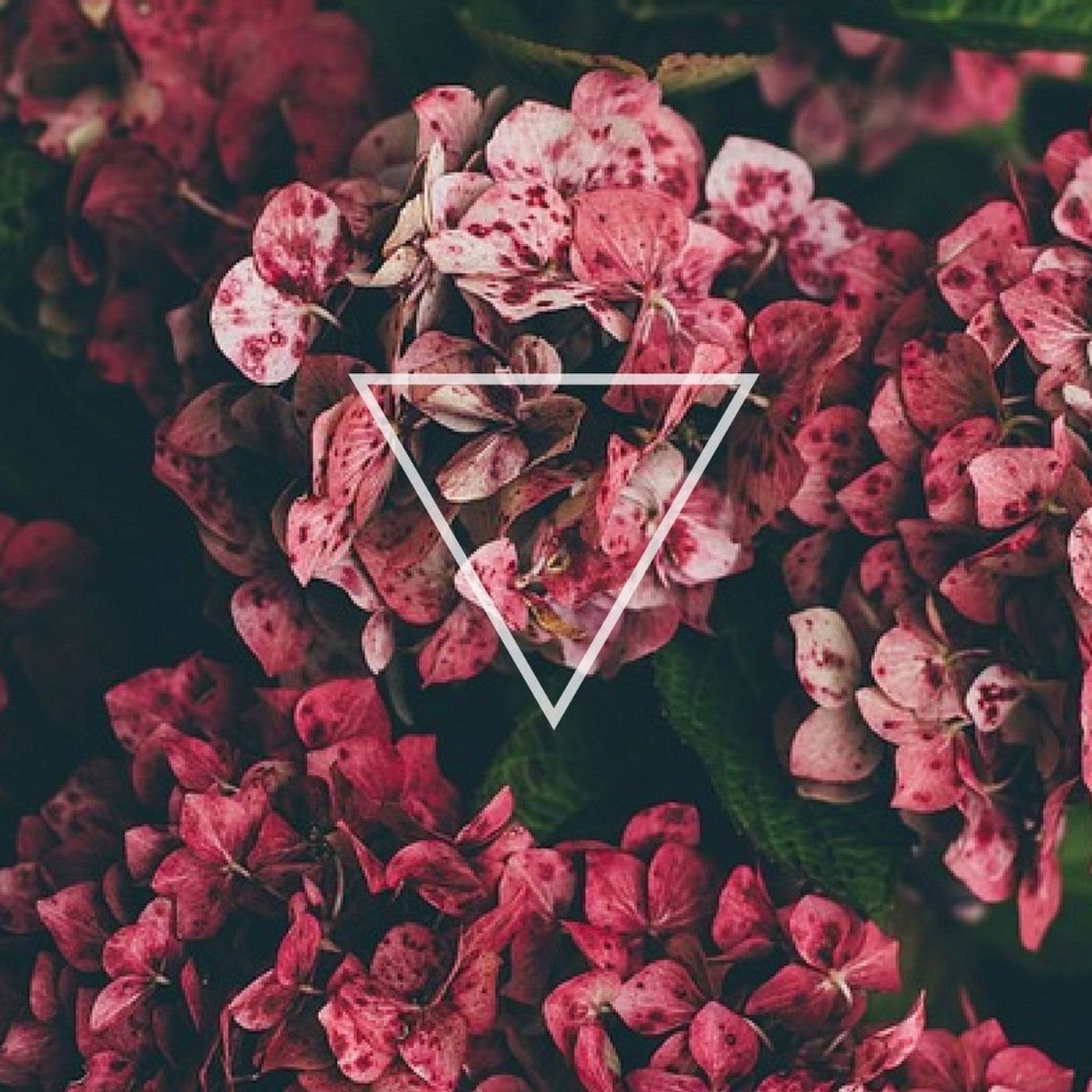 La trama y el desenlace